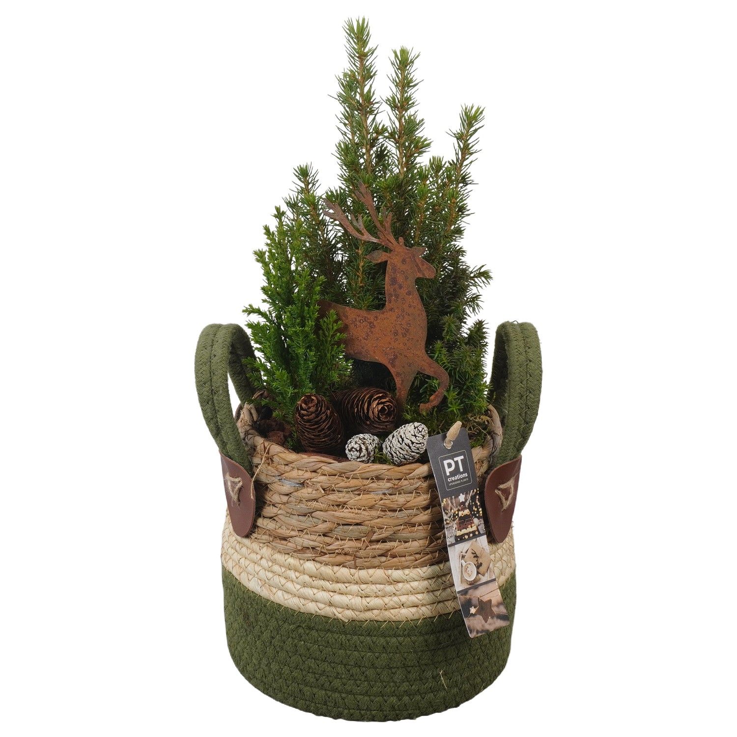 PTCWW6881 Arrangement Winter in rieten mand, D 13 cm