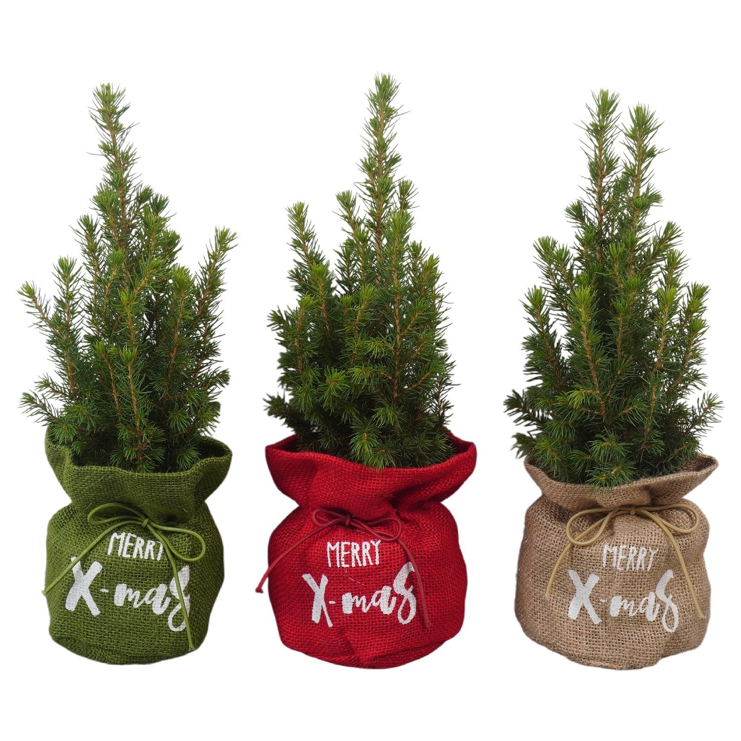 PTK26154 Conica Perfecta in jute mix, D 11