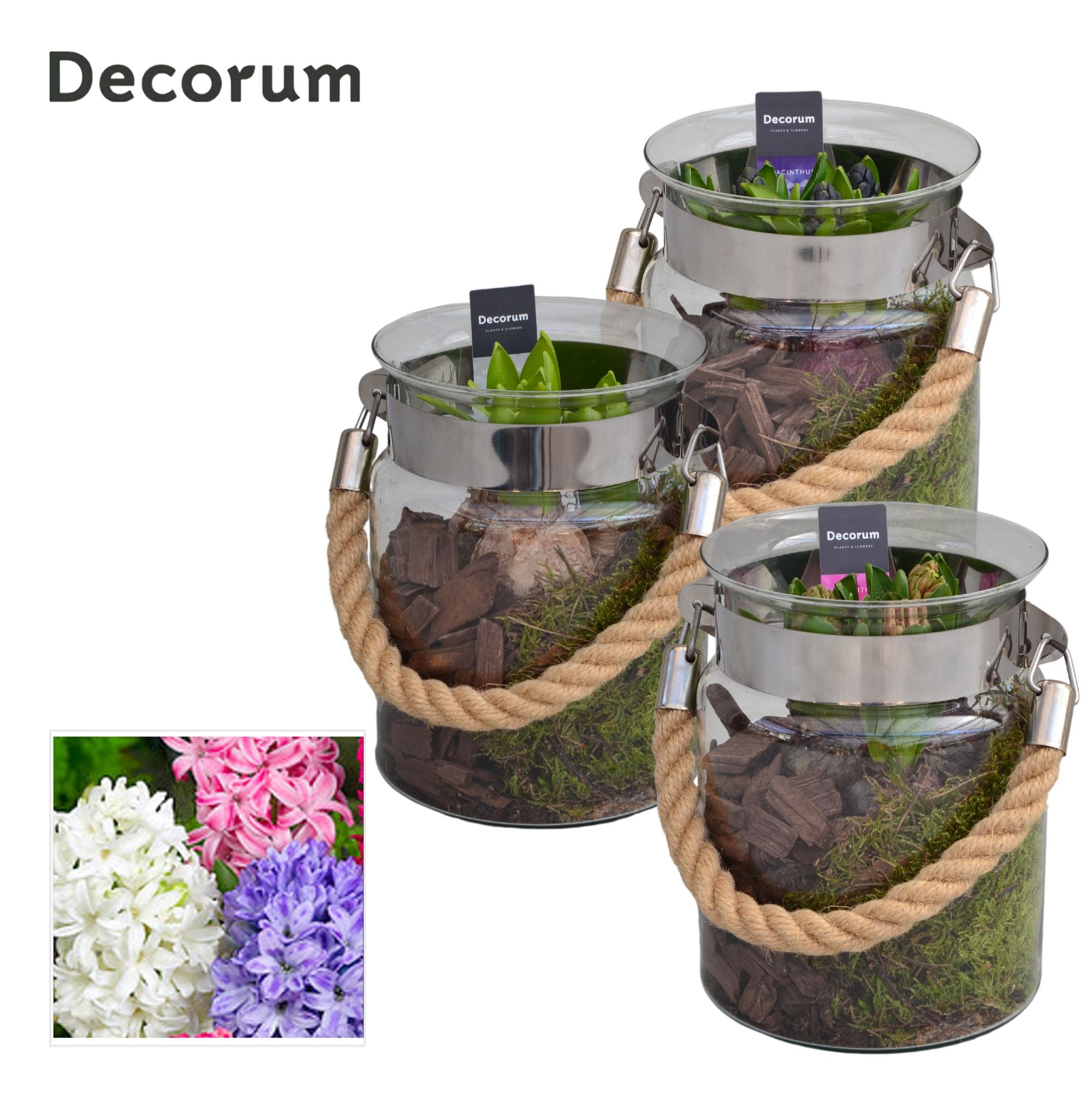 Hyacint Groot Glas met Touw HL13840 [PURE], D 15