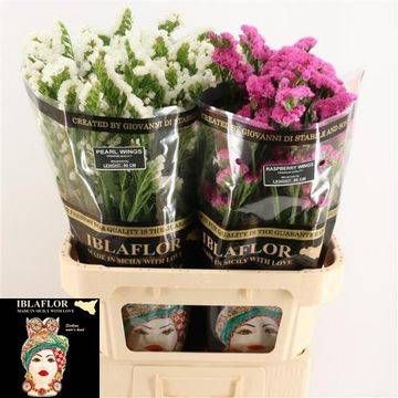 Статица Овериг 80, шт.