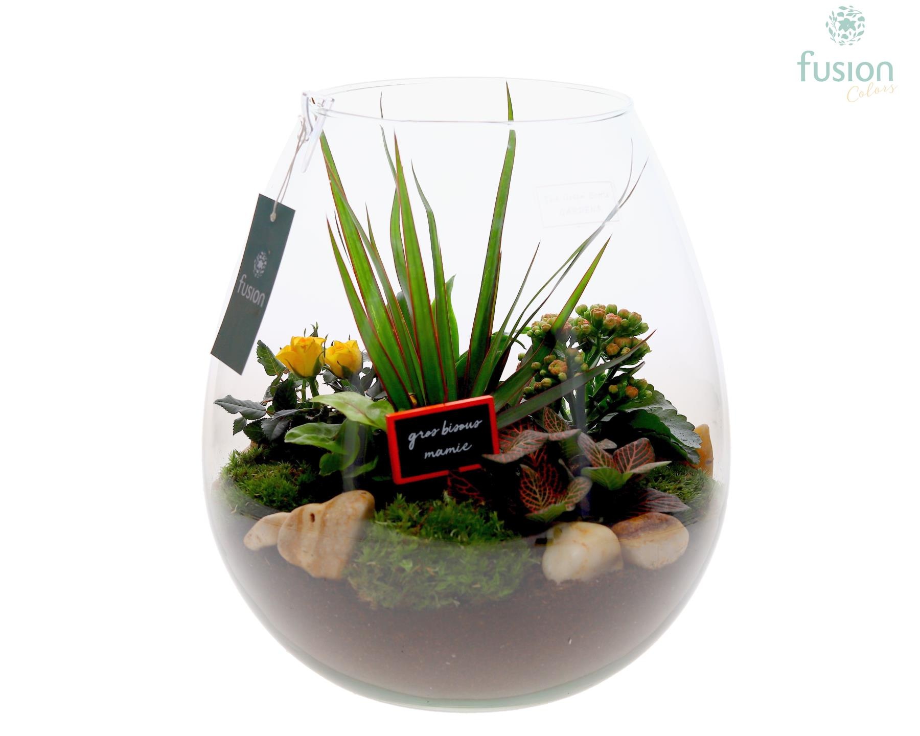 Green Bottle Abby XLarge Grootmoederdag met Arrangement, D 29