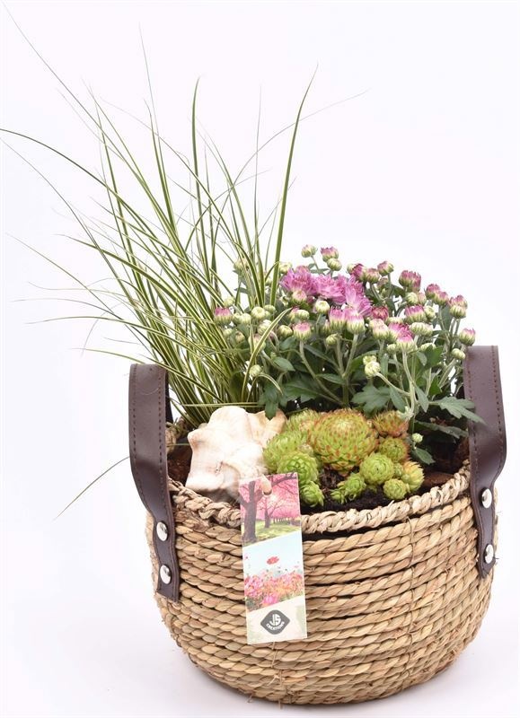 Touwmand met leer handv.20-22cm, D 20