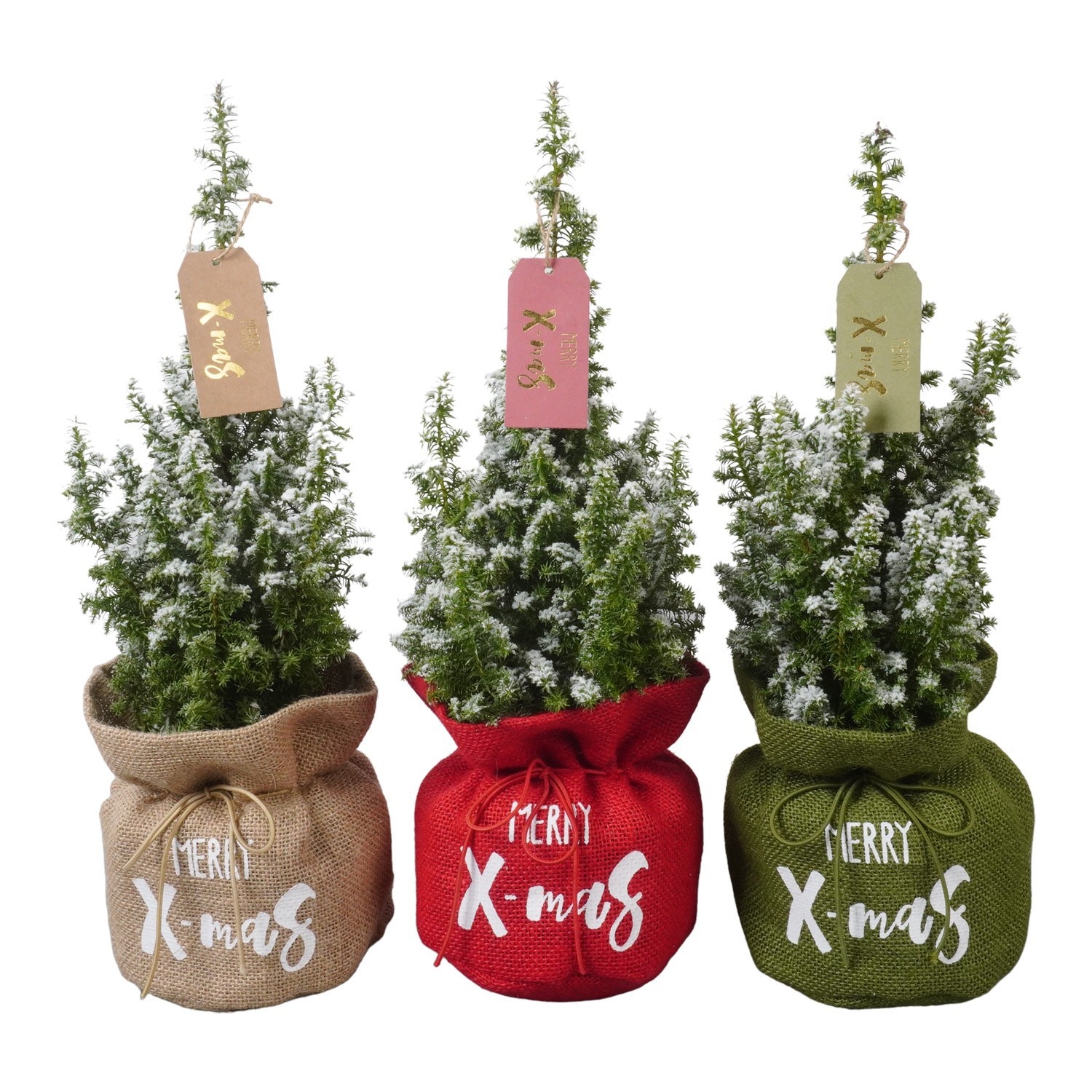 PTK261004 Top Point met sneeuw in jute mix met decoratie, D 13