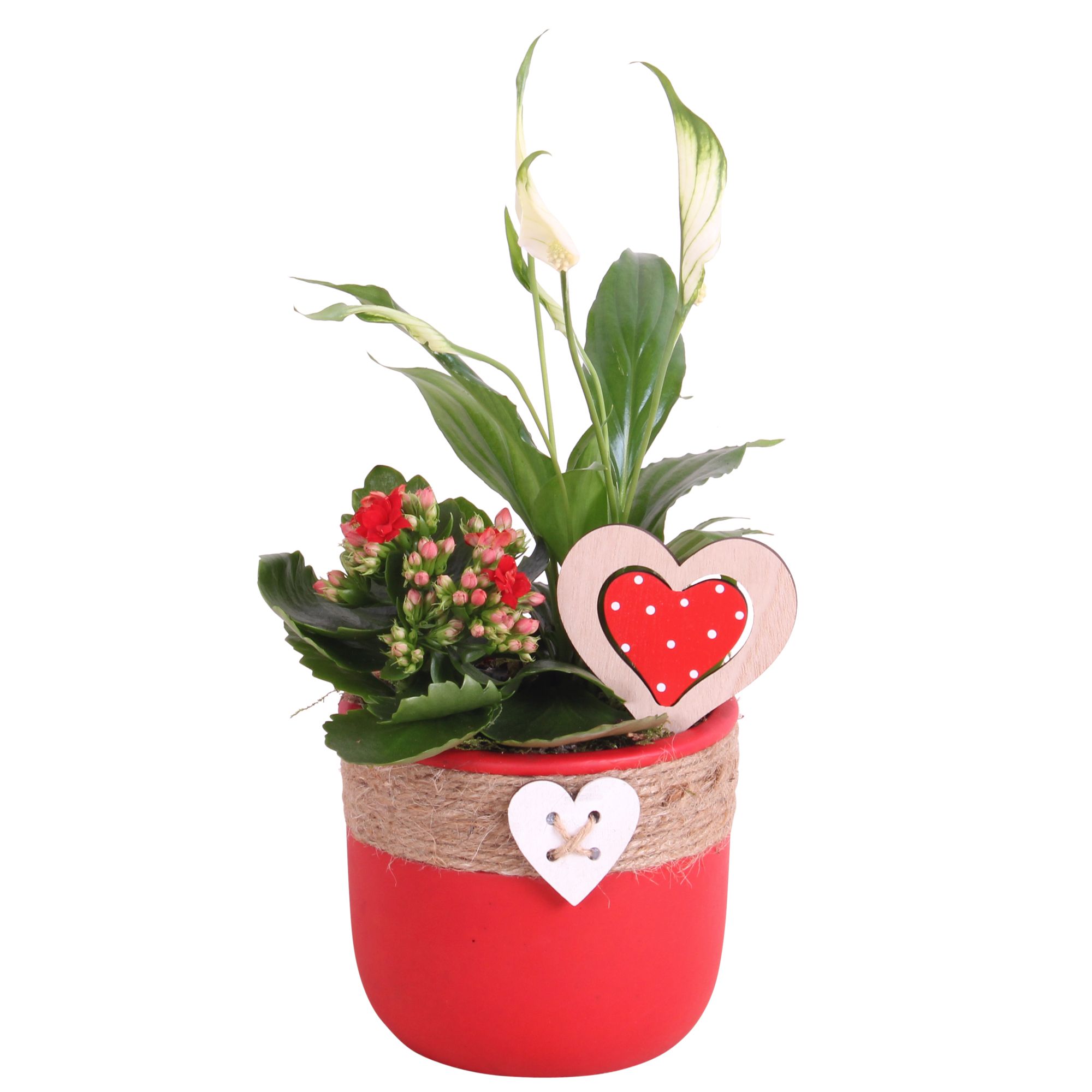 Valentine Arr. Indoor Ceramic Pot Round Rope Heart Red Ø14cm 2PP, D 14