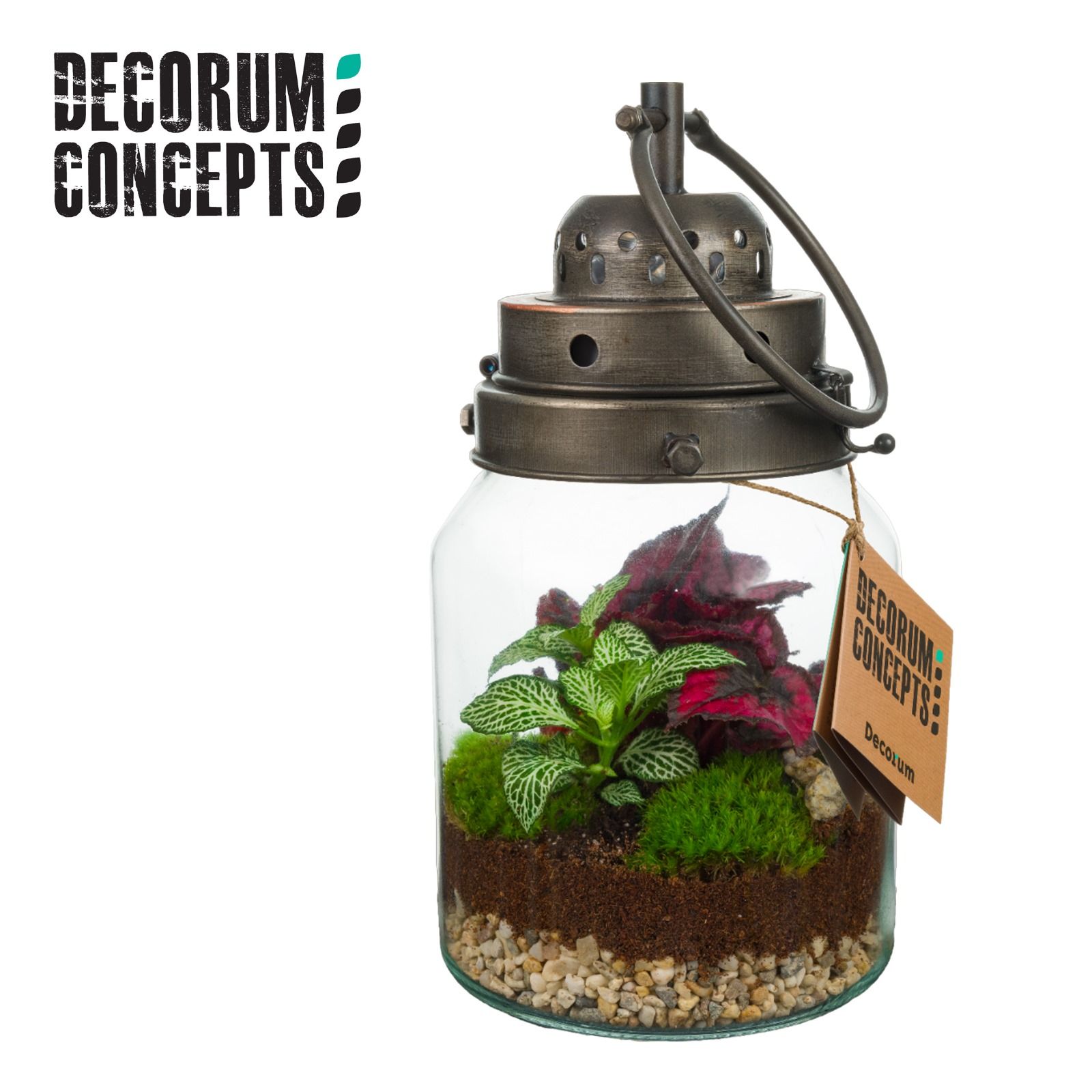 Terrarium Stormlamp (Decorum concepts), D 14