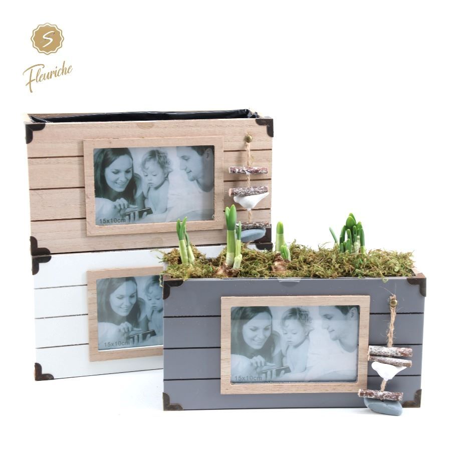 (3905) Narcissus Photo Booth 3PP Mos, D 28 cm