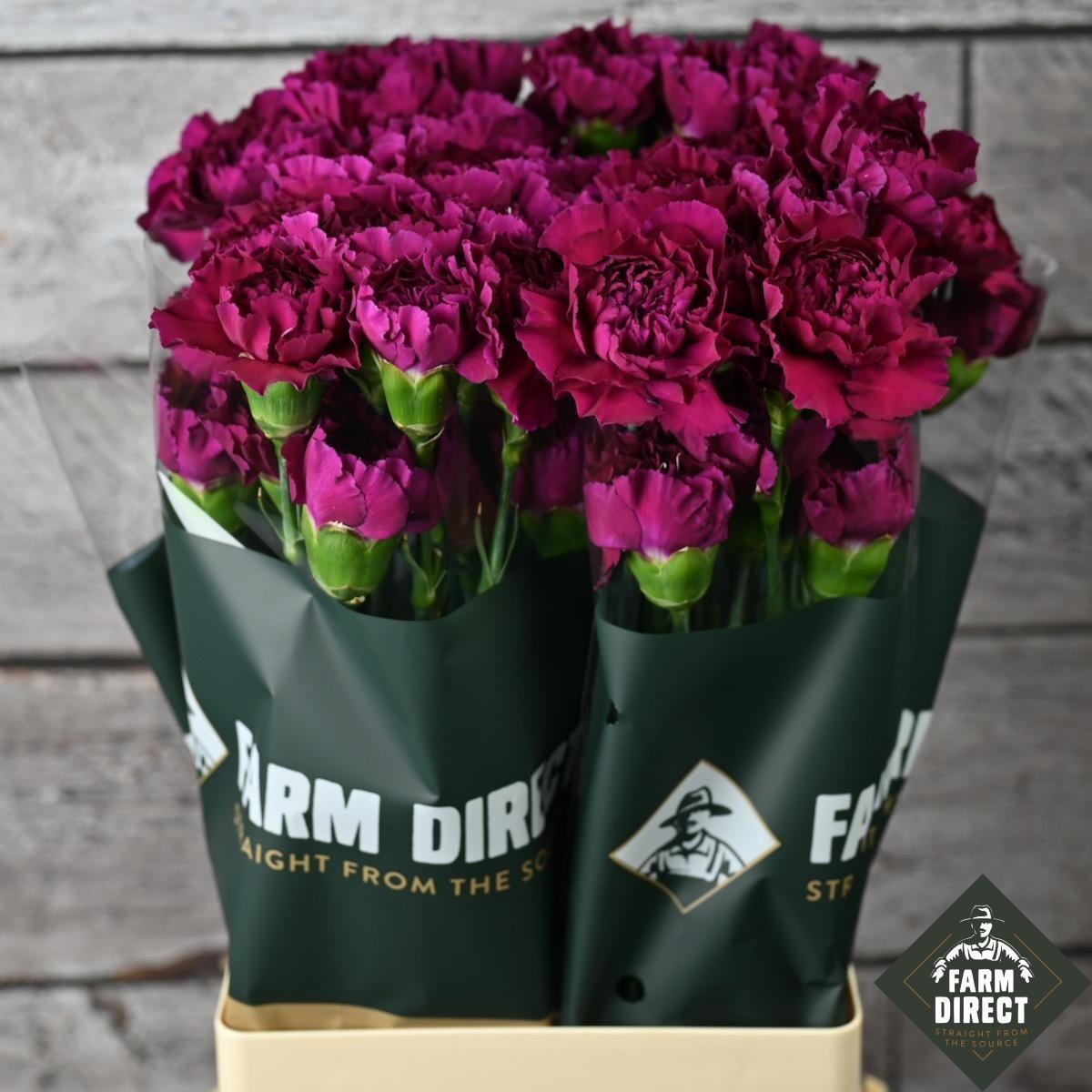 Диантус од. Перпл Дамаскус, шт.