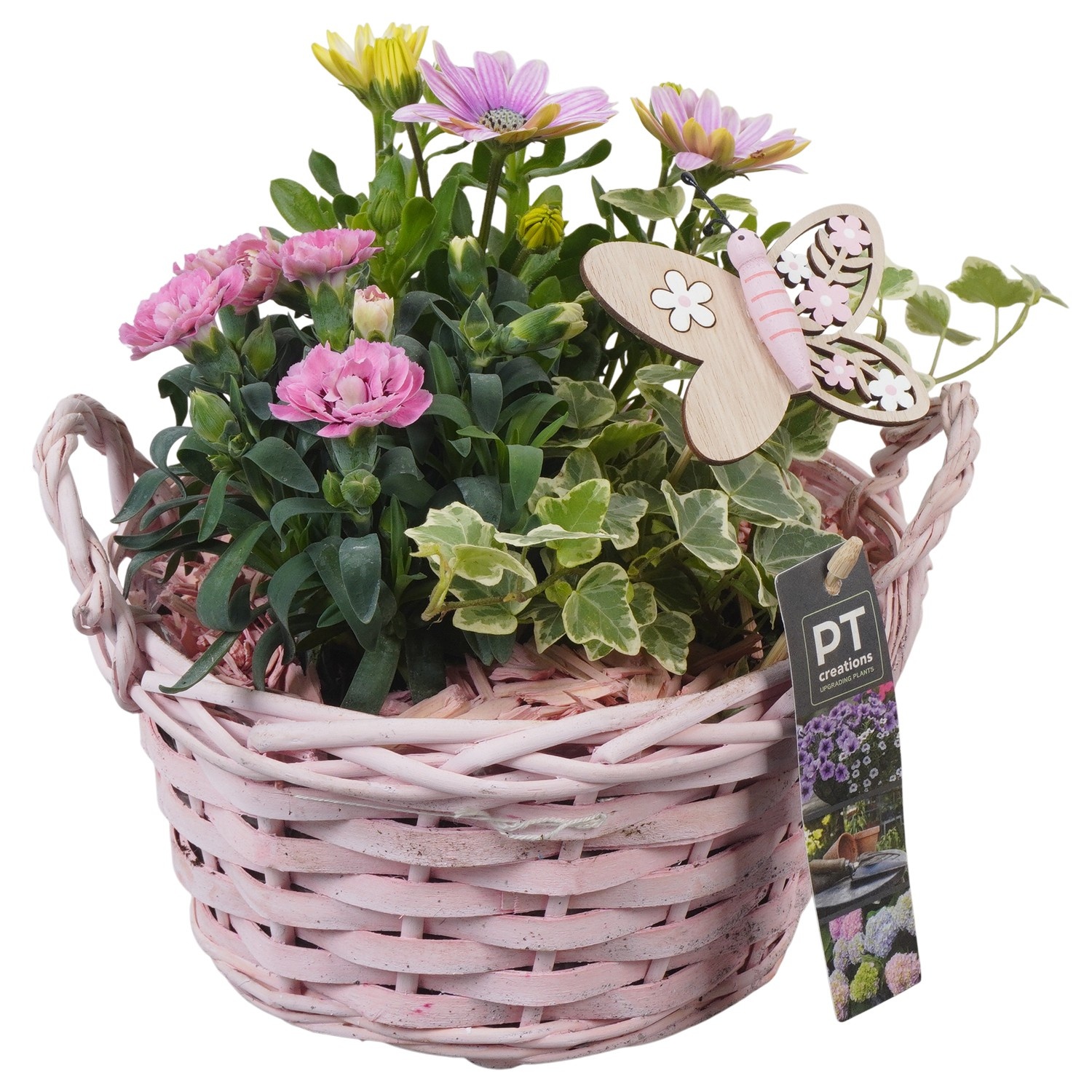 PTPP6955 Arrangement Patio in rieten mand, D 20