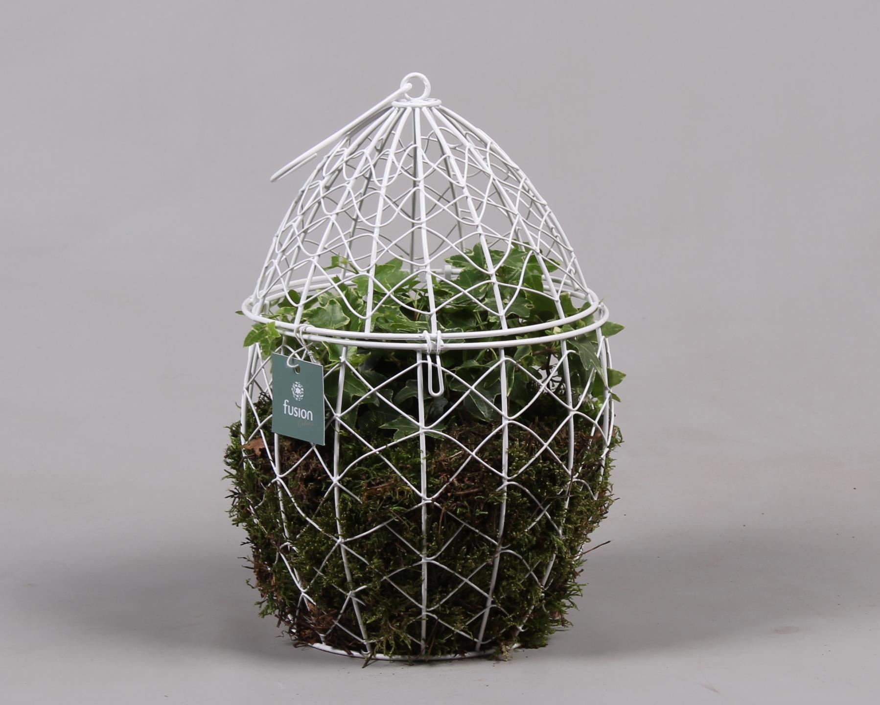 Metaal Ei groot met Hedera, D 19