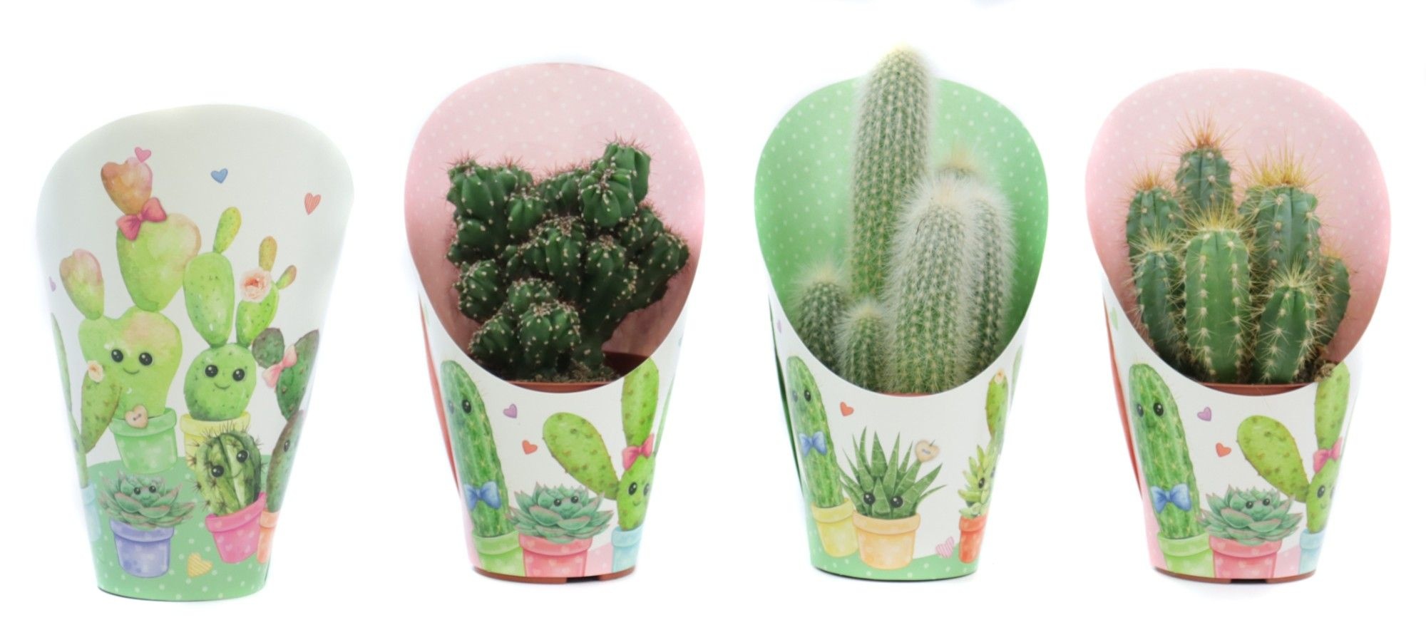 Cactus mix 8,5 cm in love potcover, D 9
