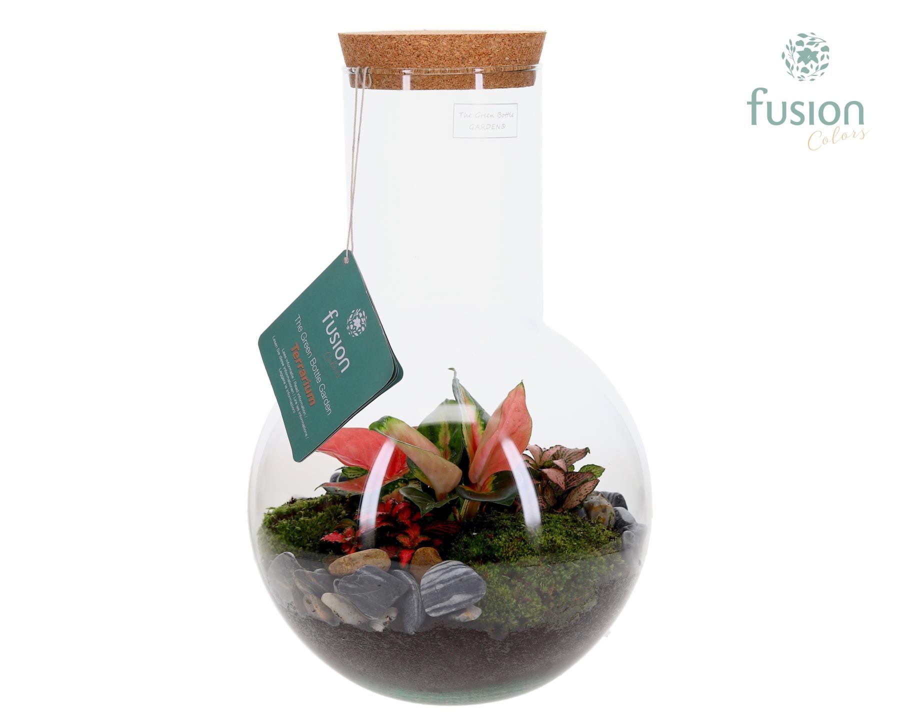 Green Bottle Suzanne Large met Terrarium arrangement, D 26