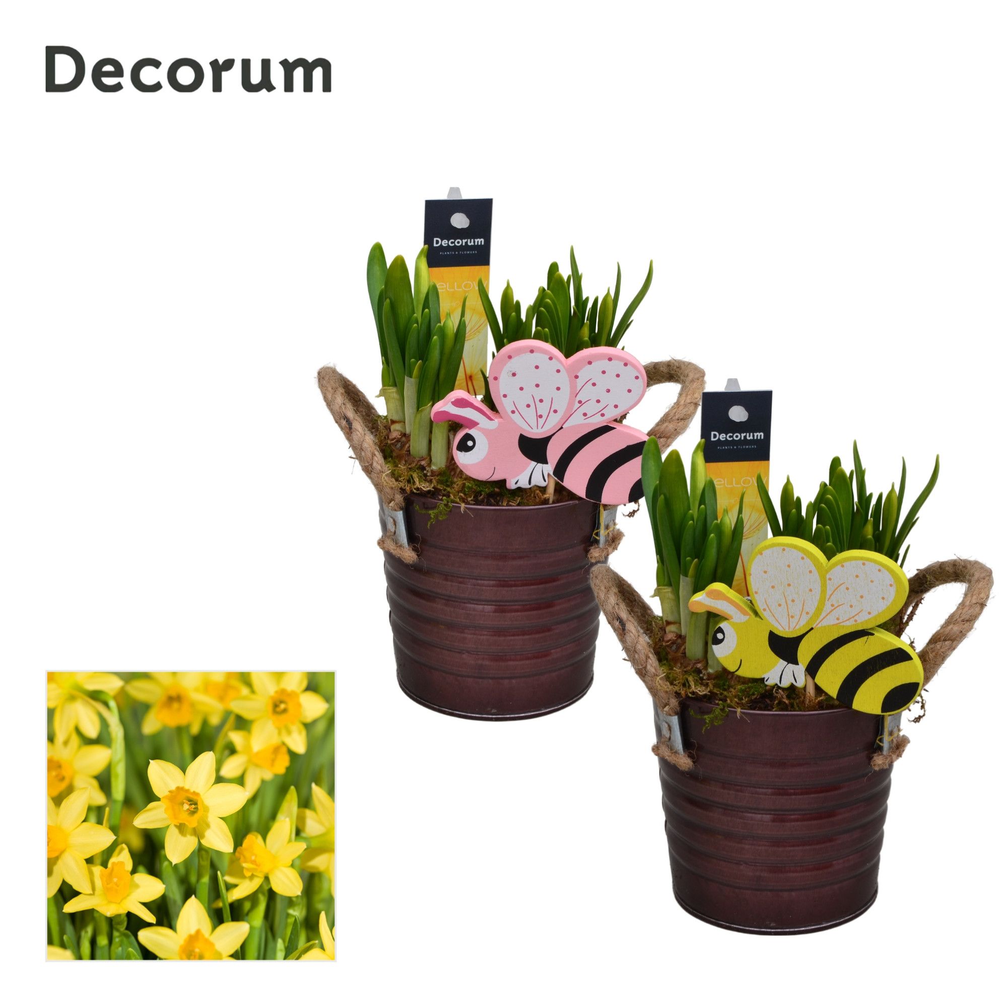 Narcis Copper Bucket GM HL15607, D 10