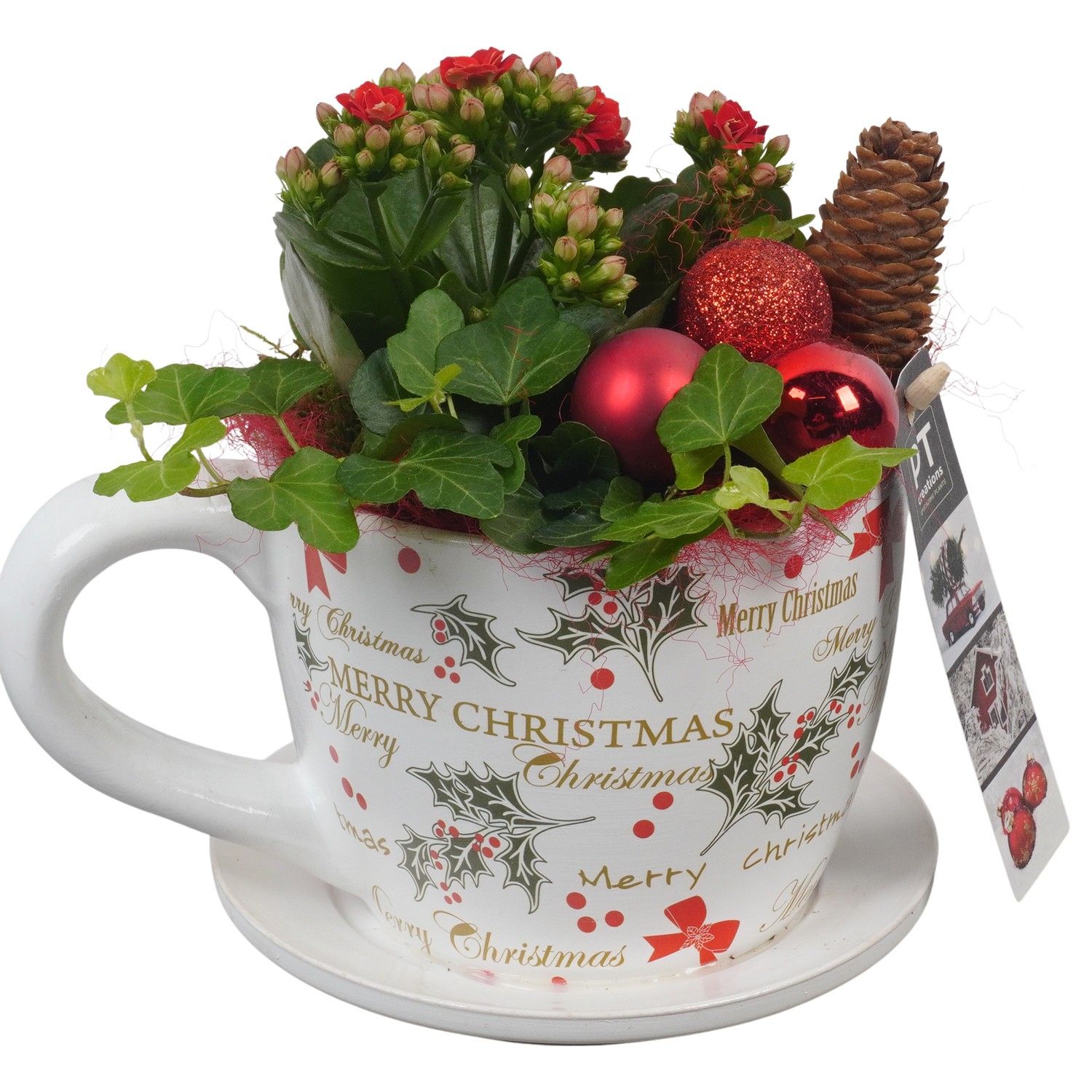 PTCHR7289 Arrangement Christmas Red in keramiek pot, D 15 cm