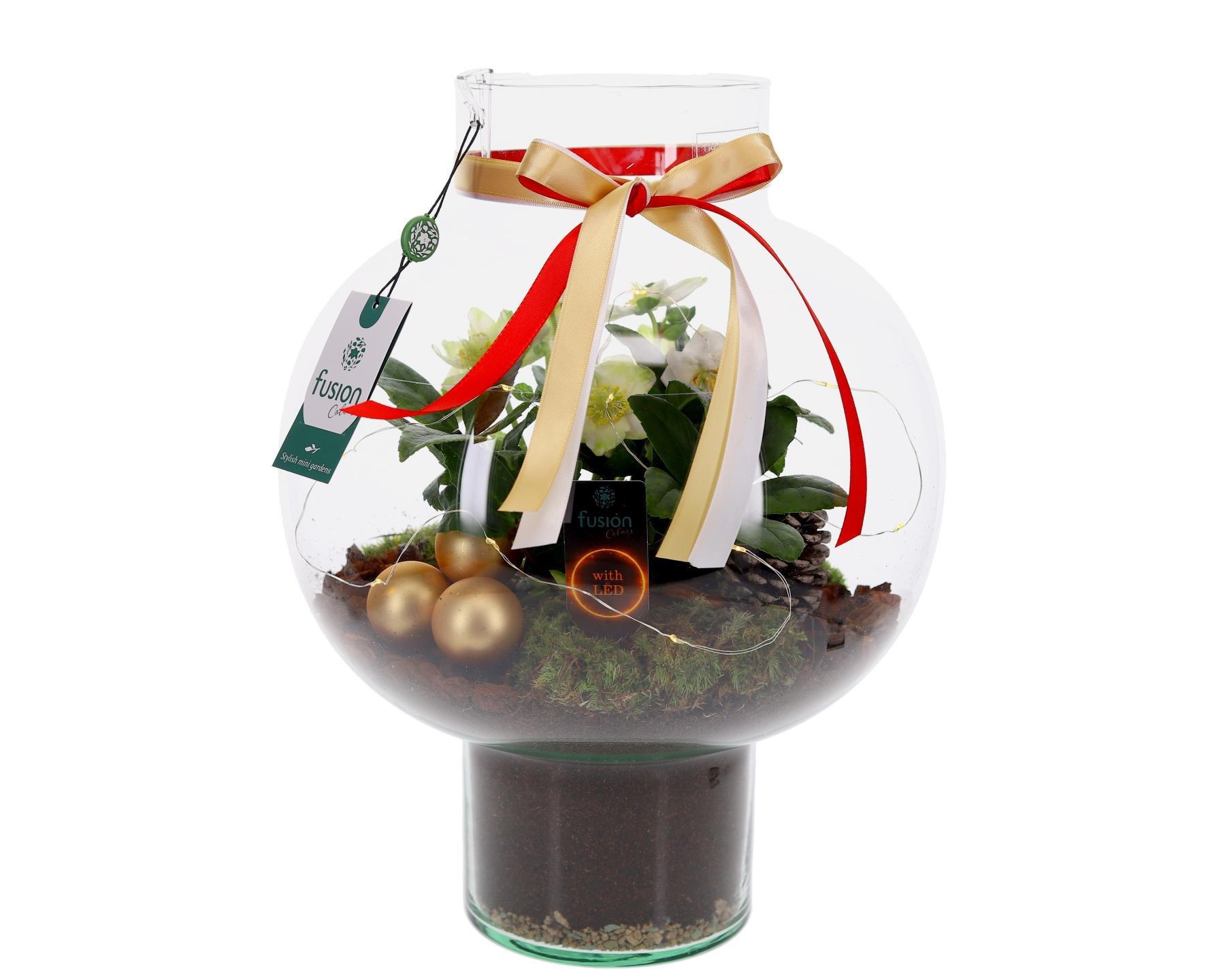Green Bottle Laura Large met Kerst arrangement, D 31 cm Green Bottle Laura Large met Kerst arrangement, D 31 cm