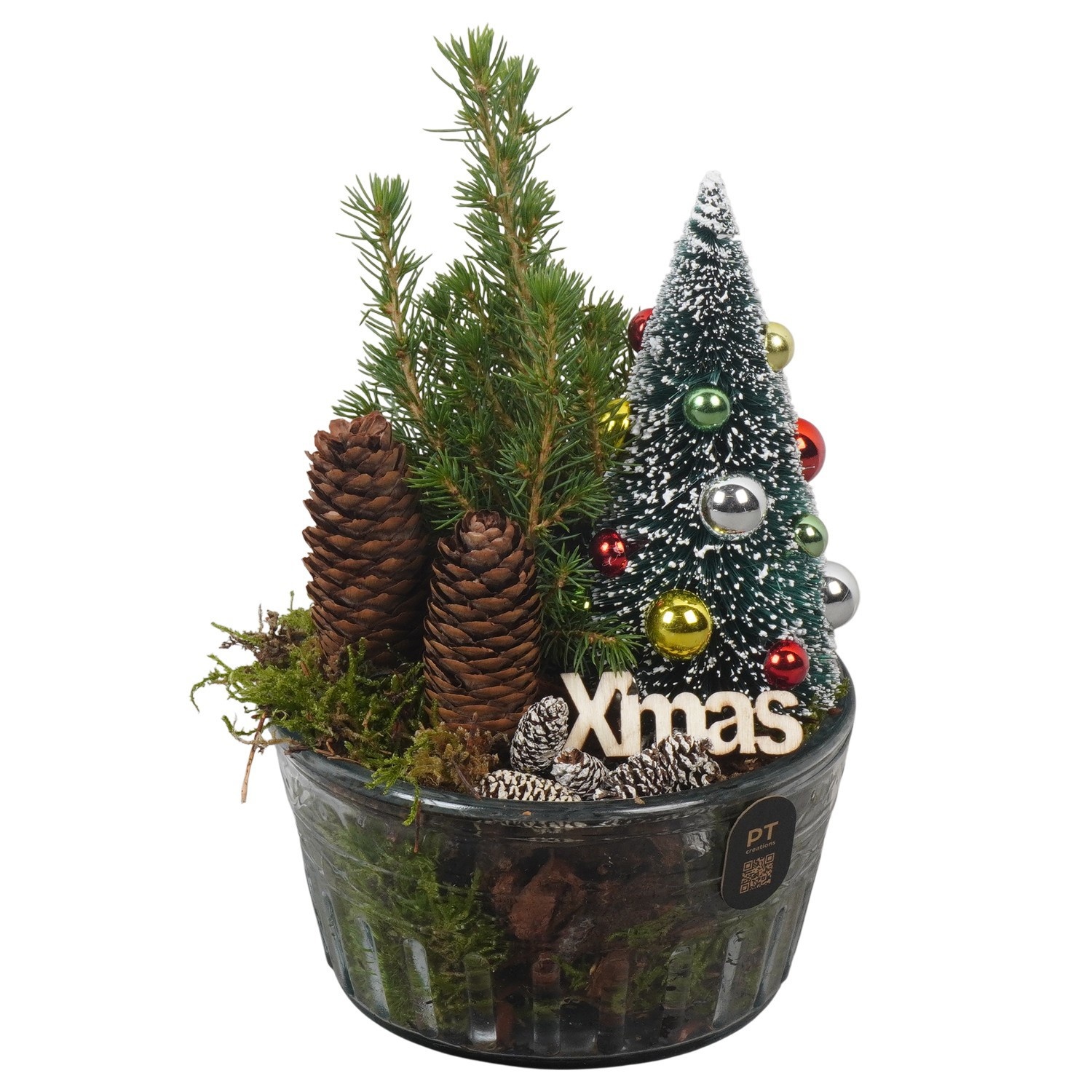 PTCWW7737 Arrangement Winter in glas schaal, D 14