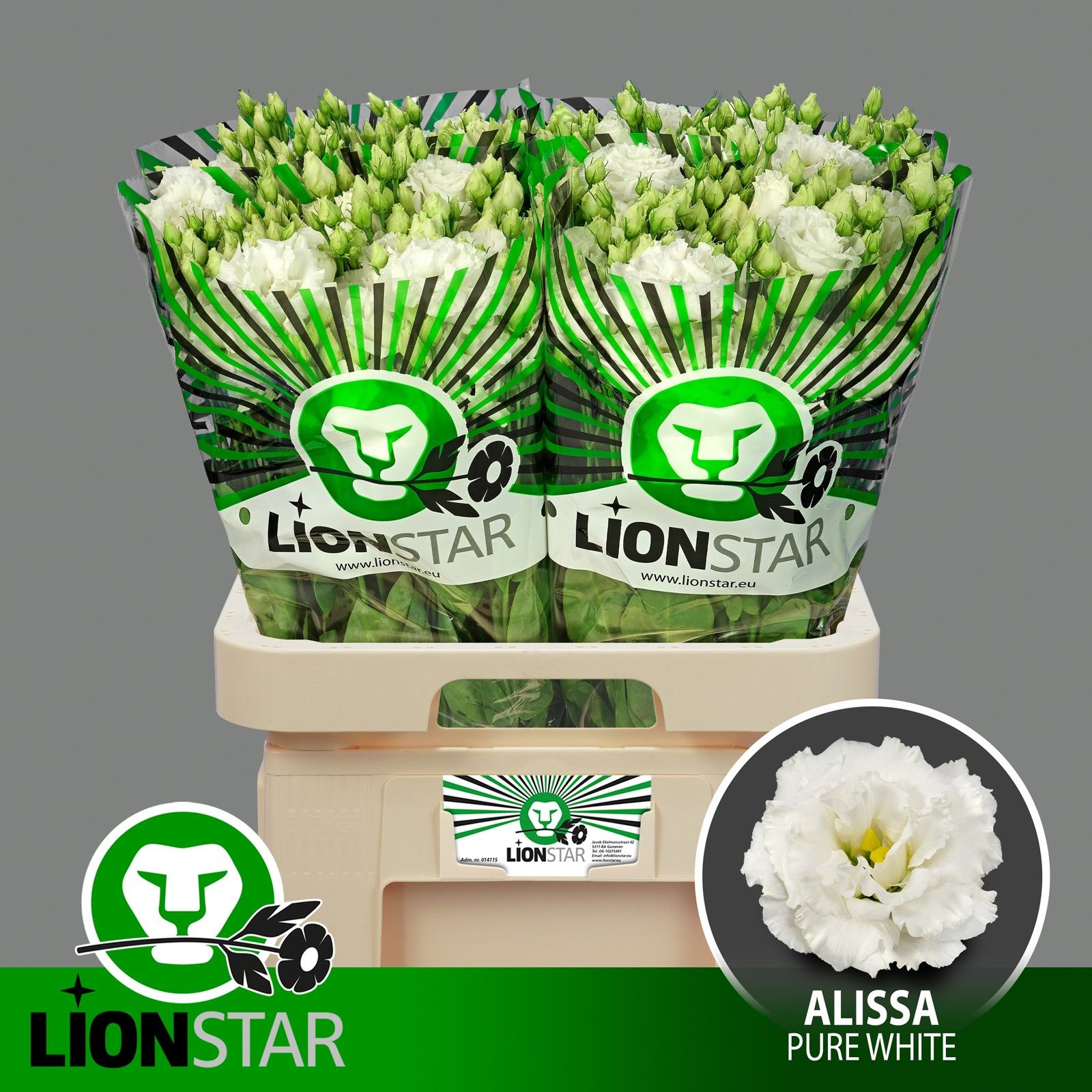 Эустома Алисса Пьюр Вайт 70 (бел.), шт.