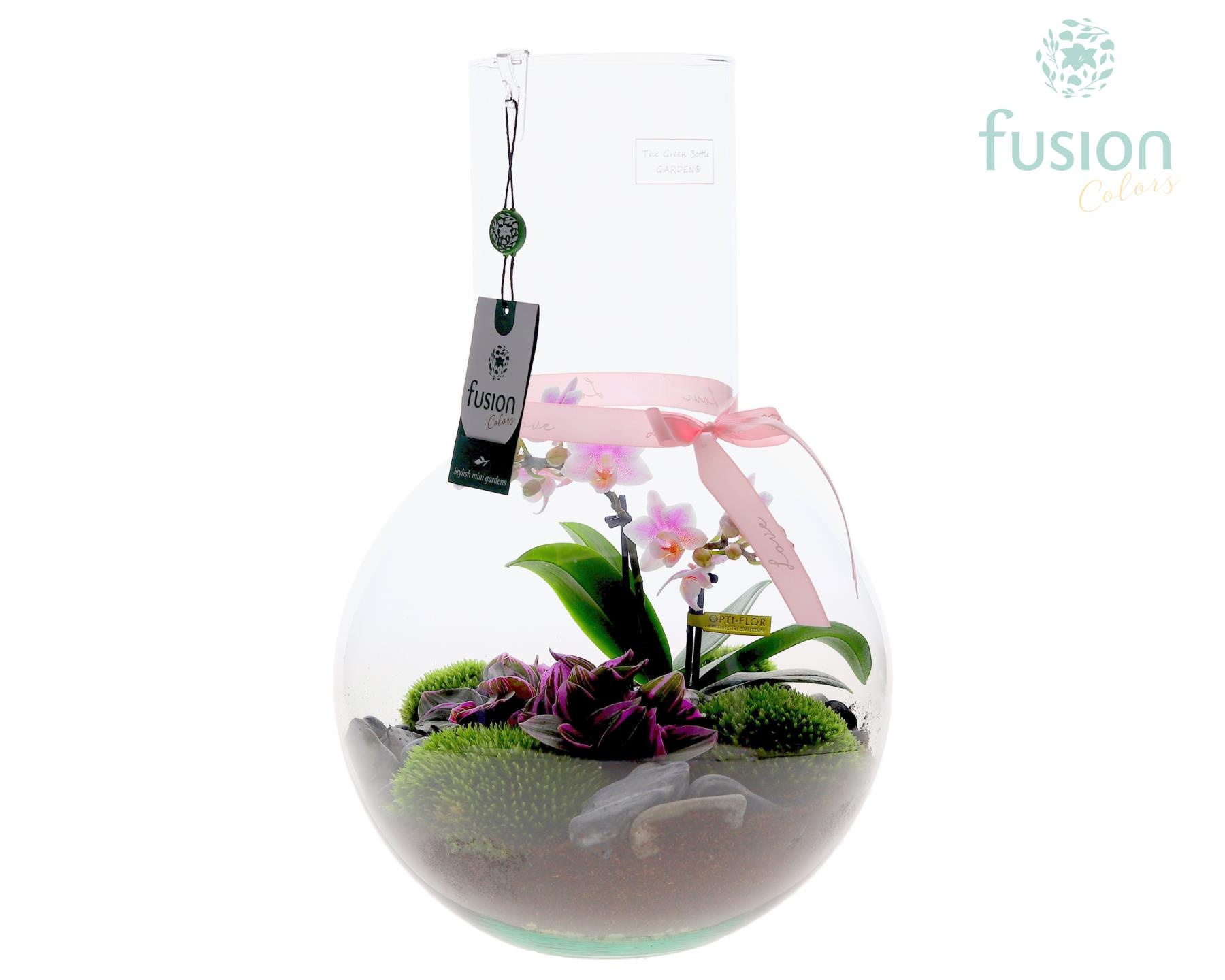 Green Bottle Suzanne Large met Moederdag arrangement, D 26