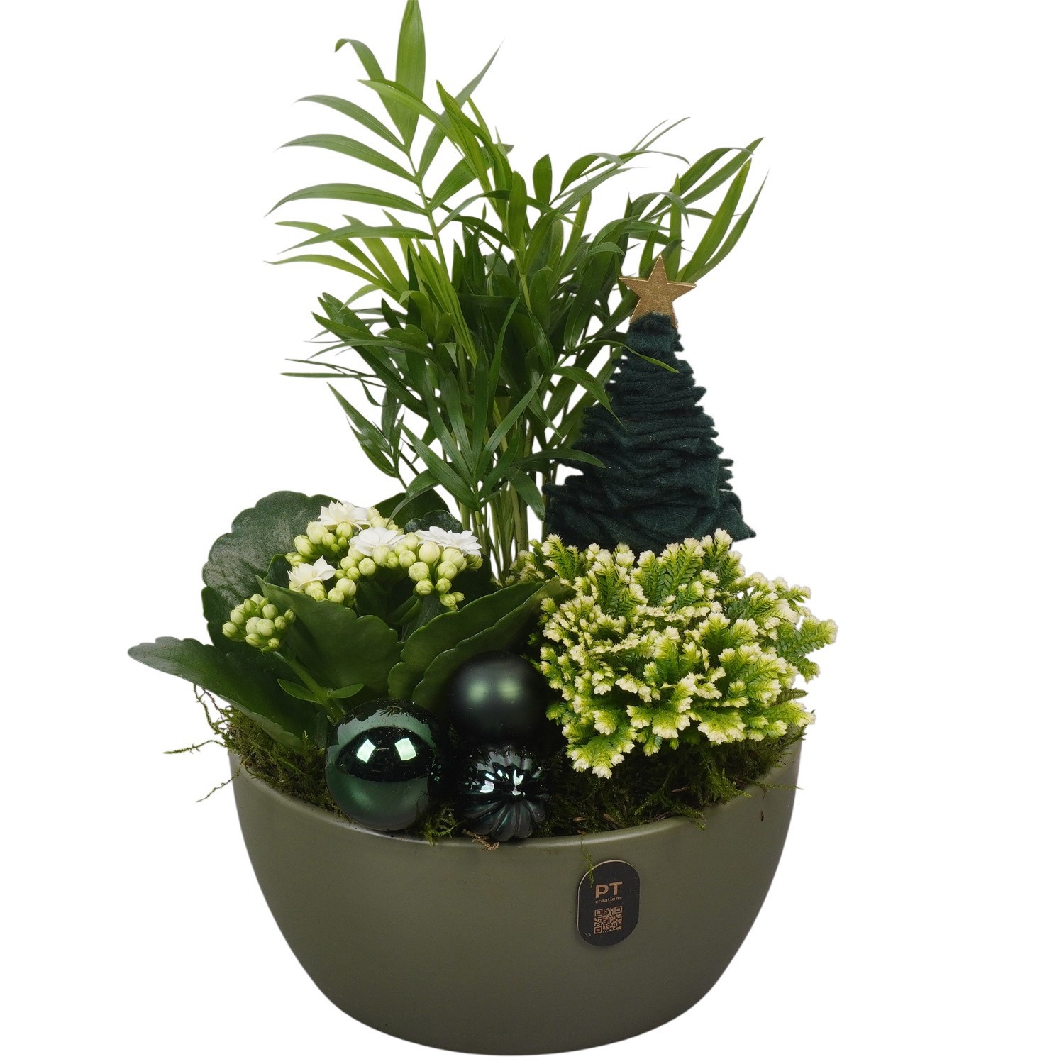 PTCHGR1947 Arrangement Christmas Green in keramiek schaal, D 18