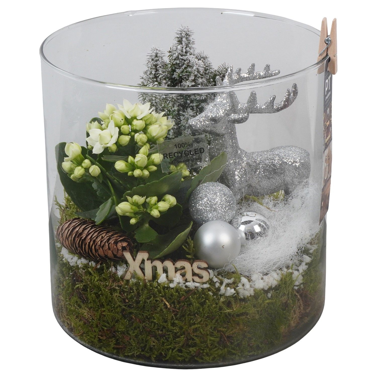 PTCHW4400 Arrangement Christmas White in glazen pot, D 19 cm