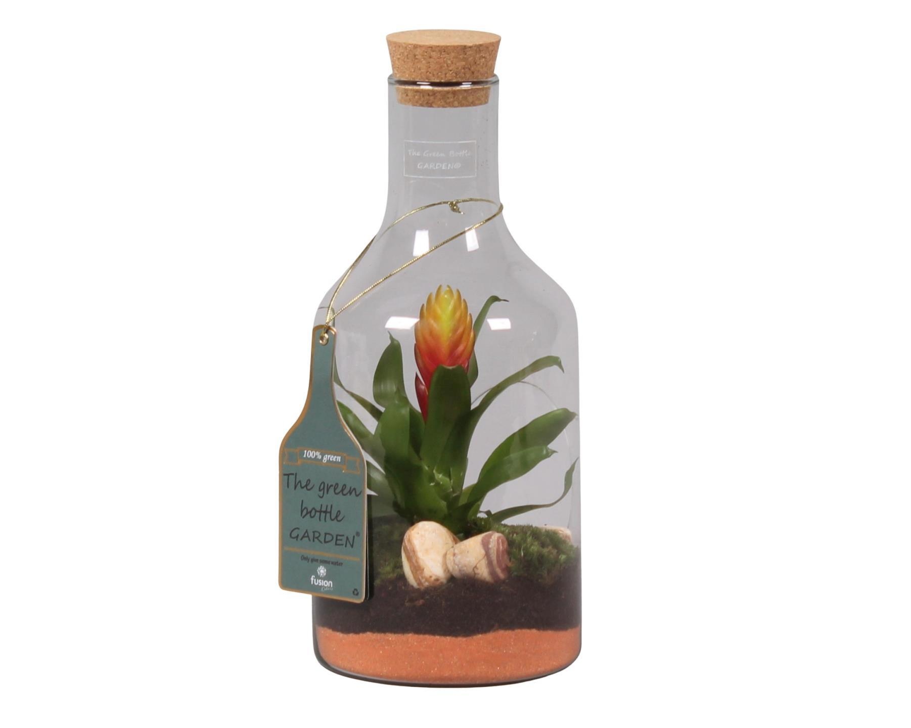 Green Bottle H33 klein met, D 15