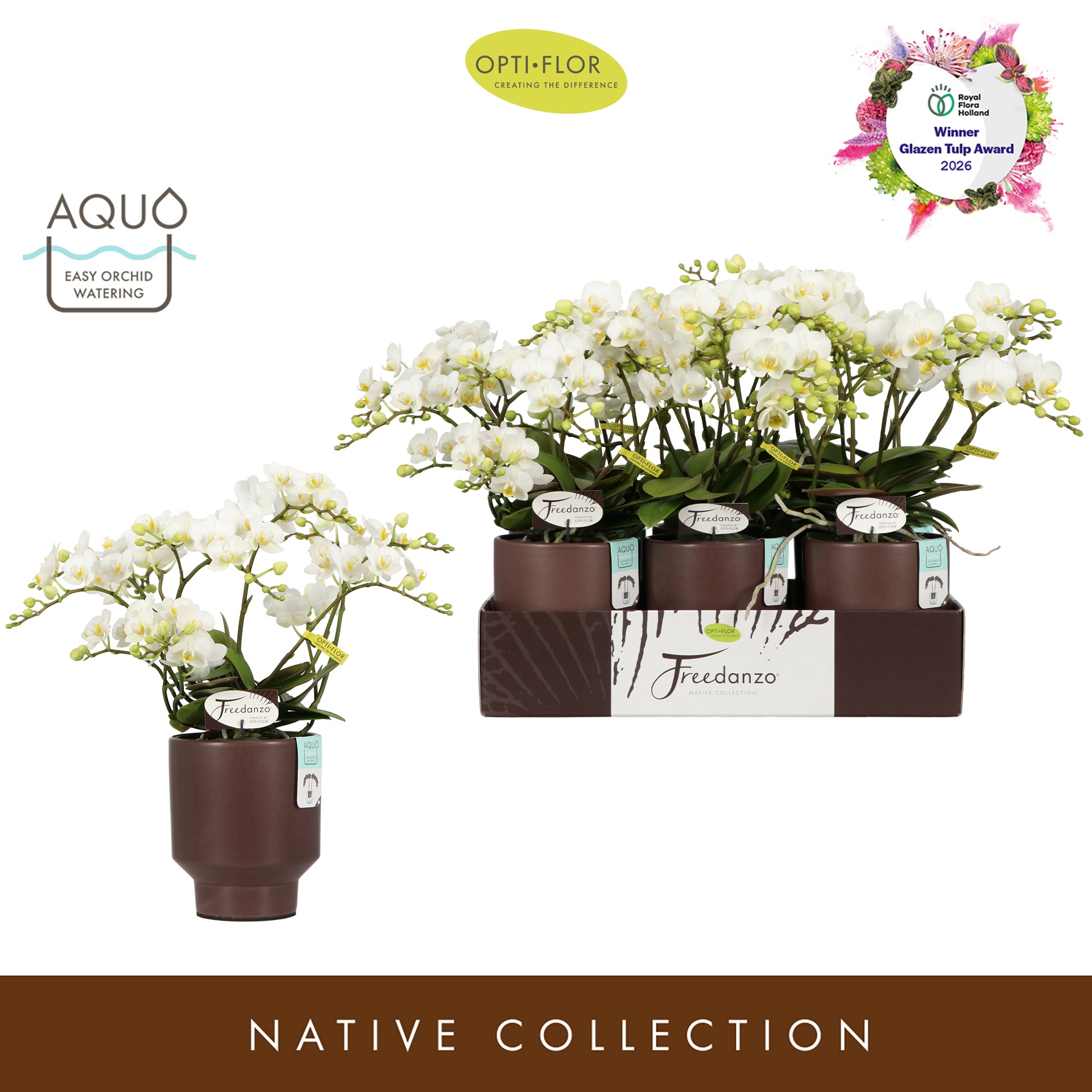 Freedanzo Dove in Emilia Brown Aquo, D 12 cm