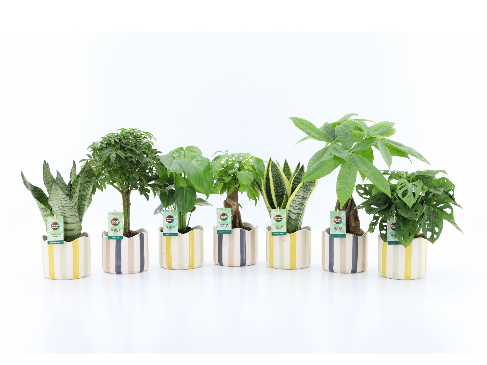 Easy to Care Mix in Nouveau keramiek, D 13