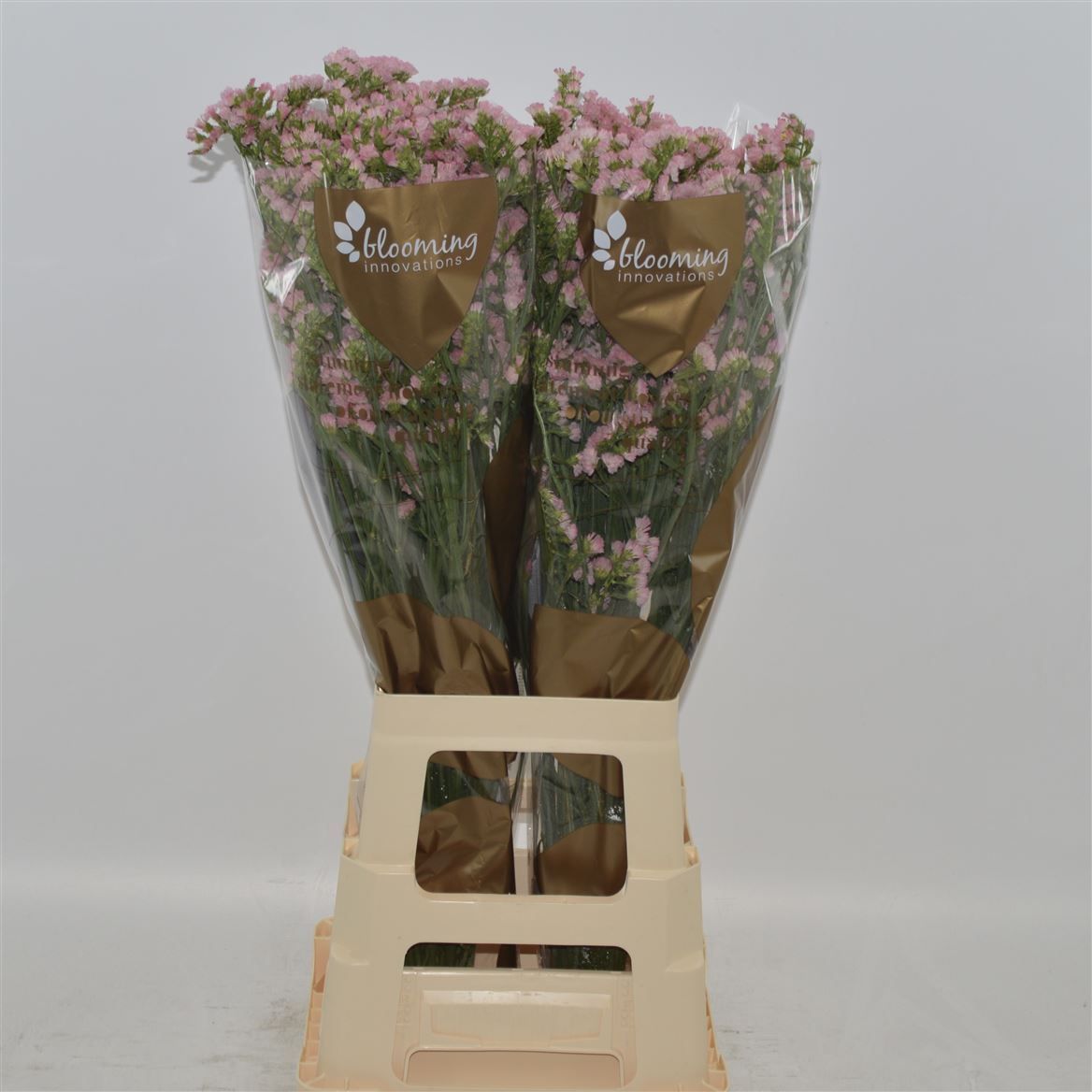 Статица Эмма Пич+ 80, шт.