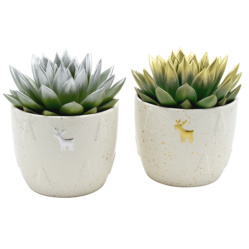 Miranda coloured festival mix in Xmas Roo ceramics, D 12