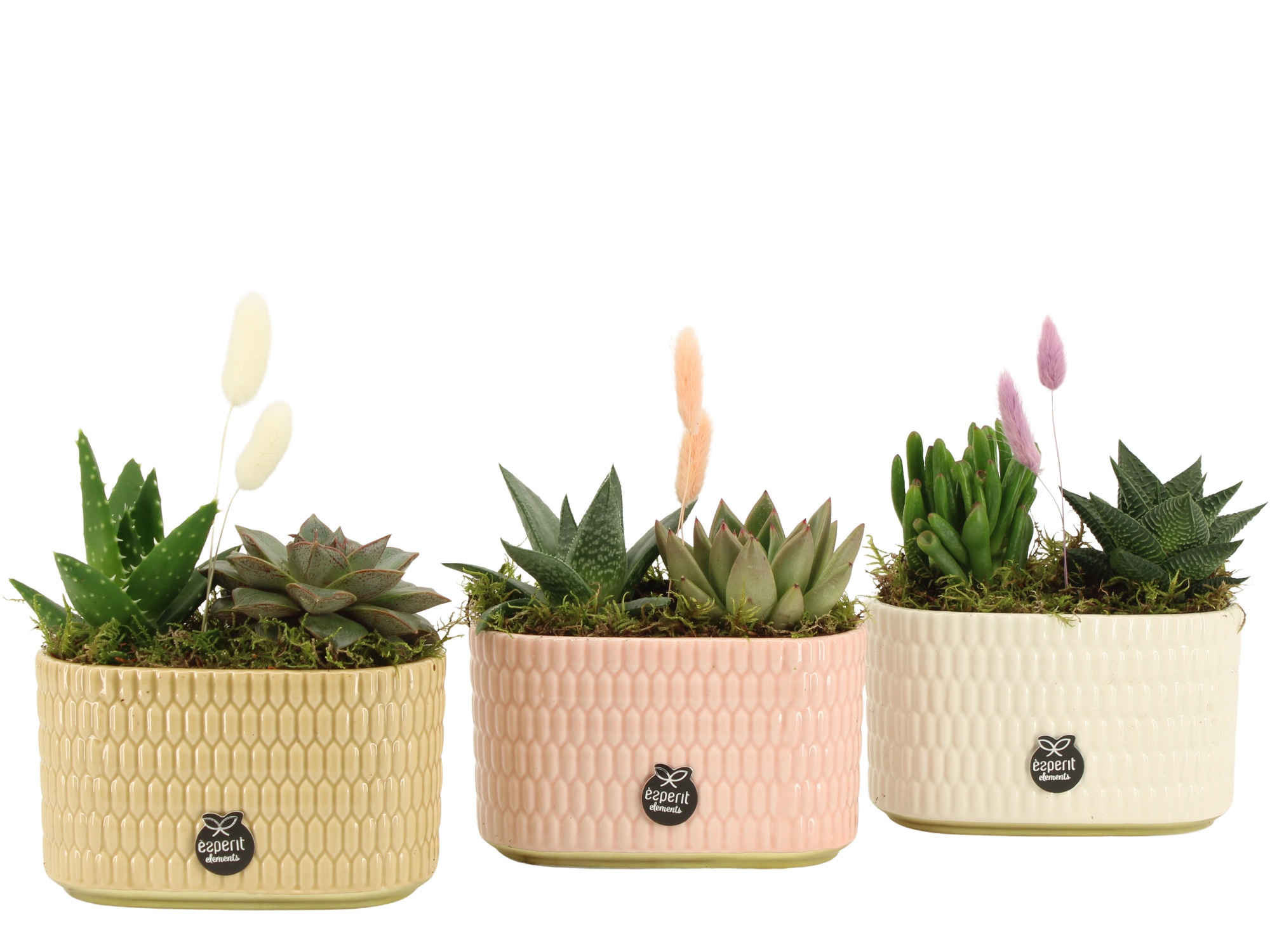 21977: Contradiction arrangement, D 14