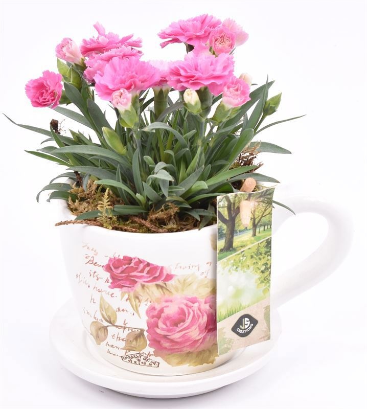 Keramiek K & S roosopdr. 10cm, D 12