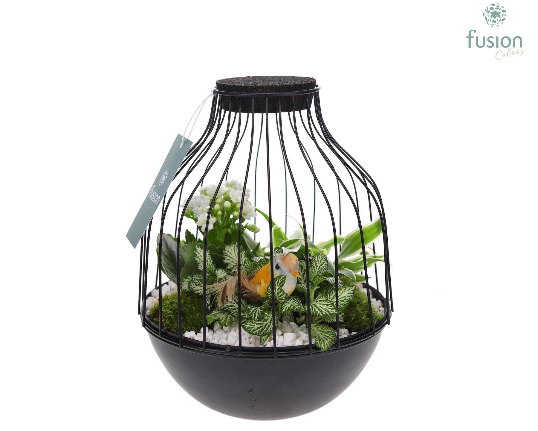 Vogelkooi metaal zwart Medium met arrangement, D 19