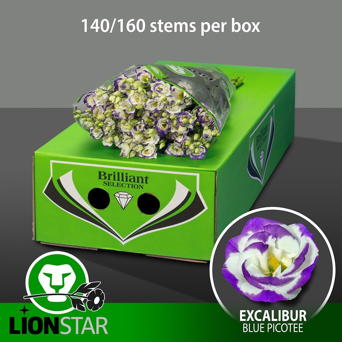 Эустома Розита Блю Пикоти 70 (бело-фиолет.), шт.