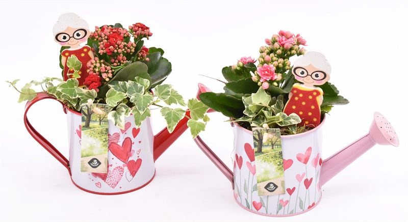 Zink gieter roze/rood hart 24x10cm, D 24