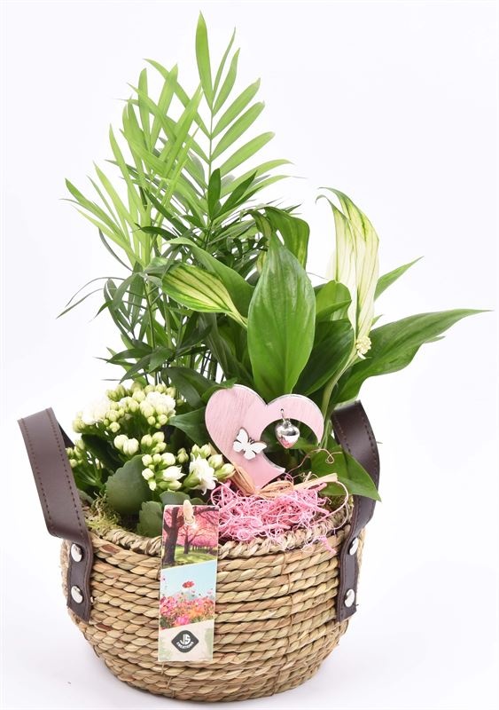 Natuur mand met hengsel 16cm, D 16