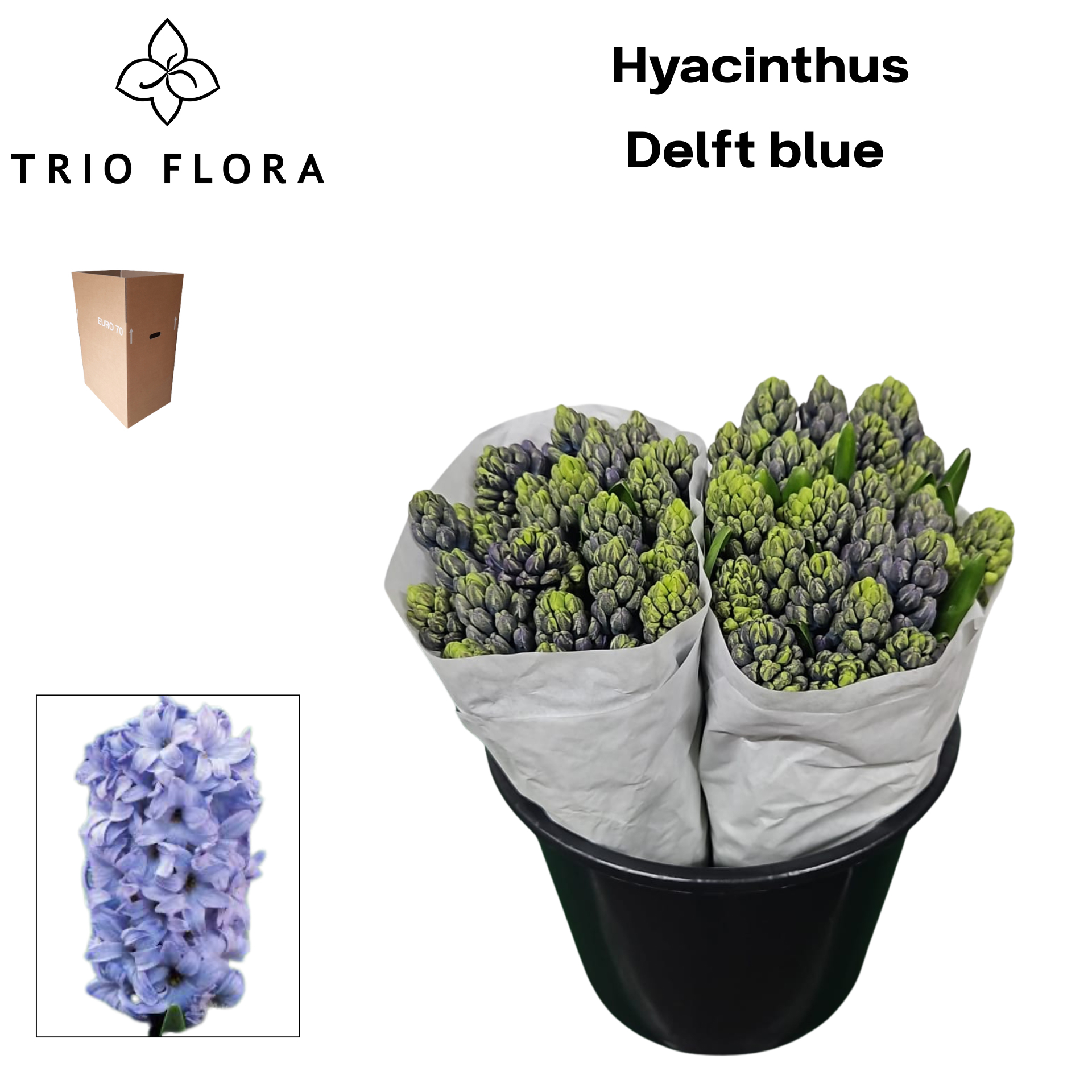 Гиацинт Делфт Блю (син.), шт.