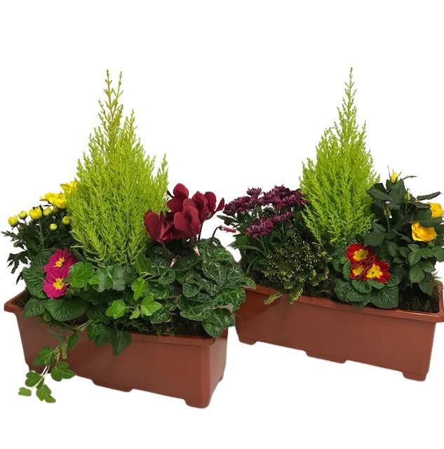 Buitenschaal arrangement A4 Balkon, D 40