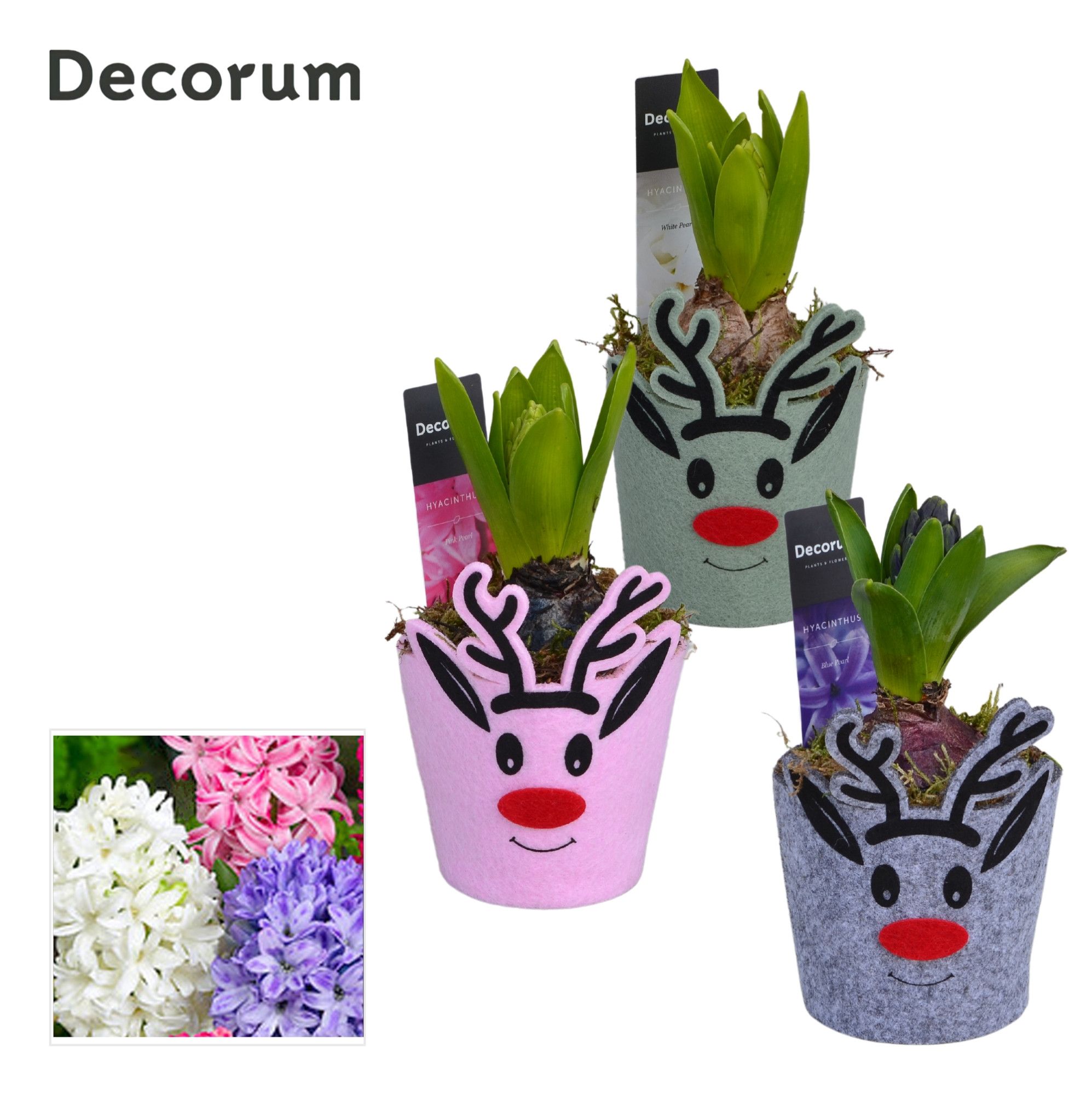 Hyacint Rudolph the Reindeer HL13992 [LOVELY COLORS], D 8