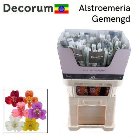 Альстромерия Микс, шт.
