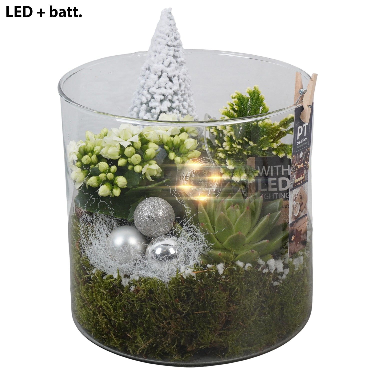 PTCHW4398 Arrangement Christmas White in glazen pot, D 19 cm