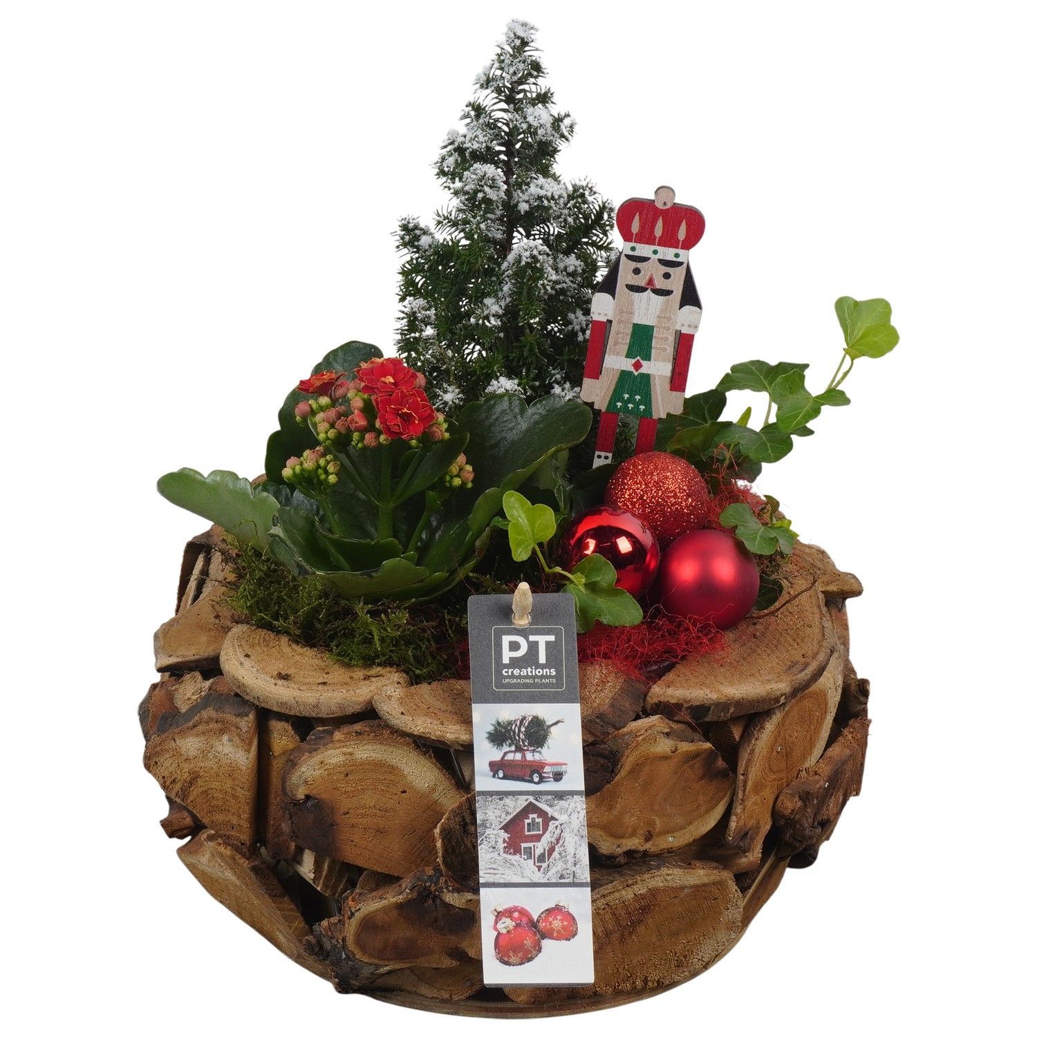 PTCHR7357 Arrangement Christmas Red in houten pot, D 24 cm