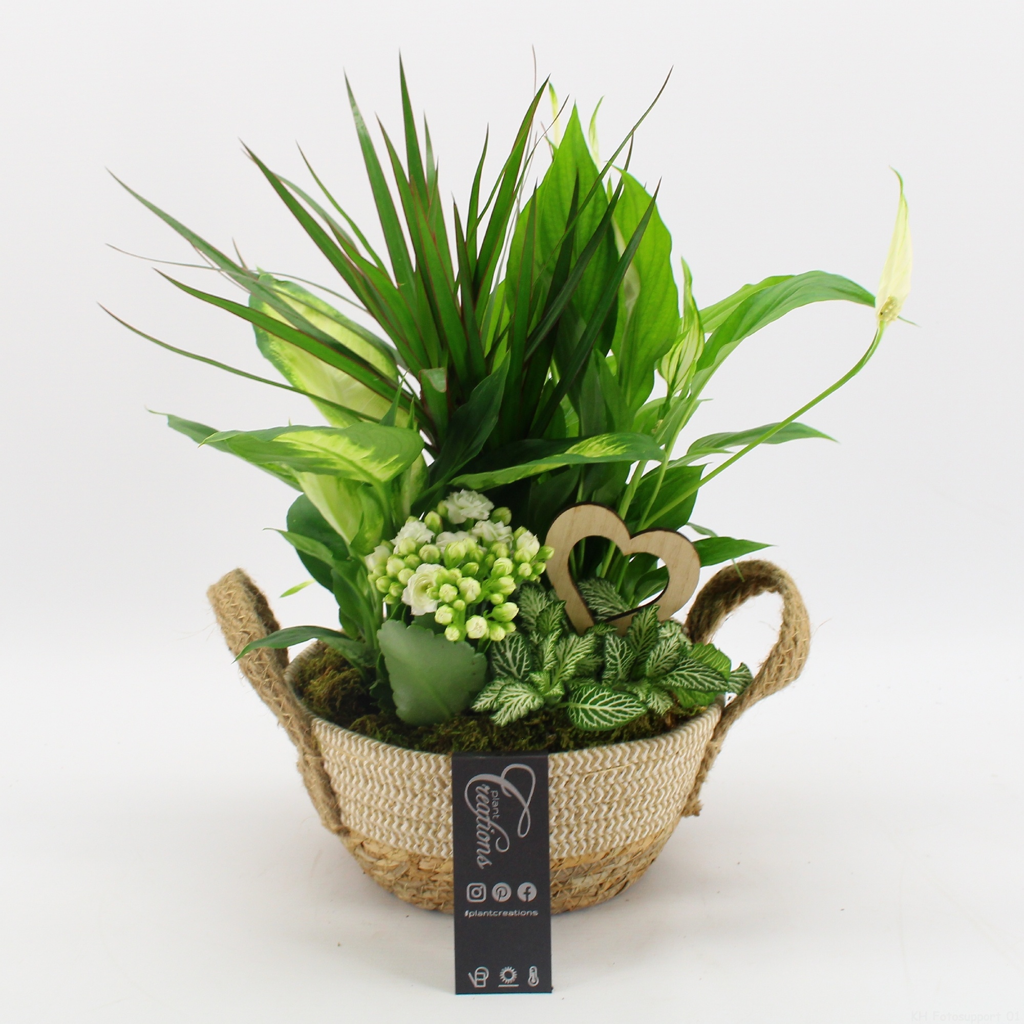 FDRM-2619W Romantic Fundamentals, D 21