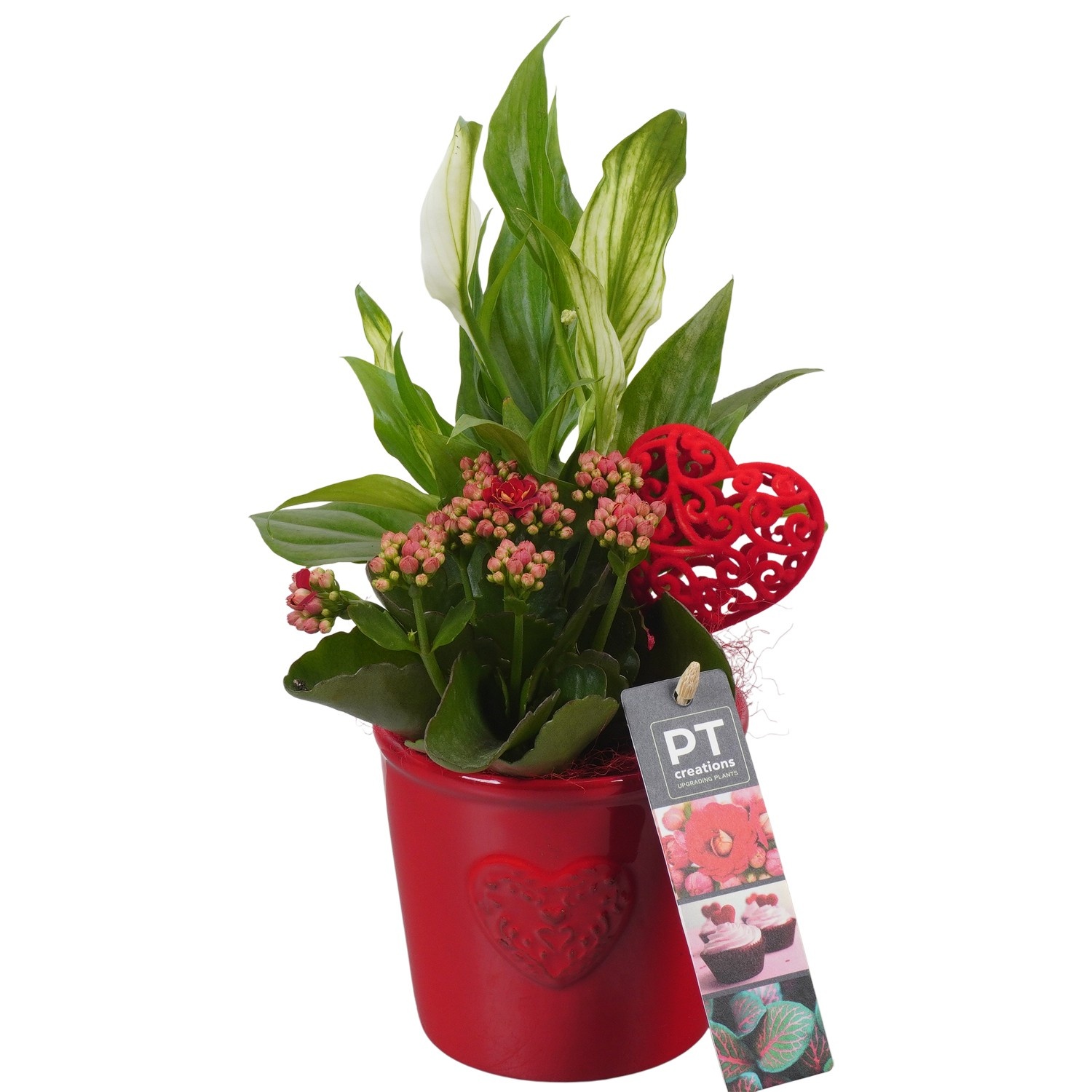 PTVMB2247 Arrangement Valentines-Mothersday in keramiek sierpot, D 10