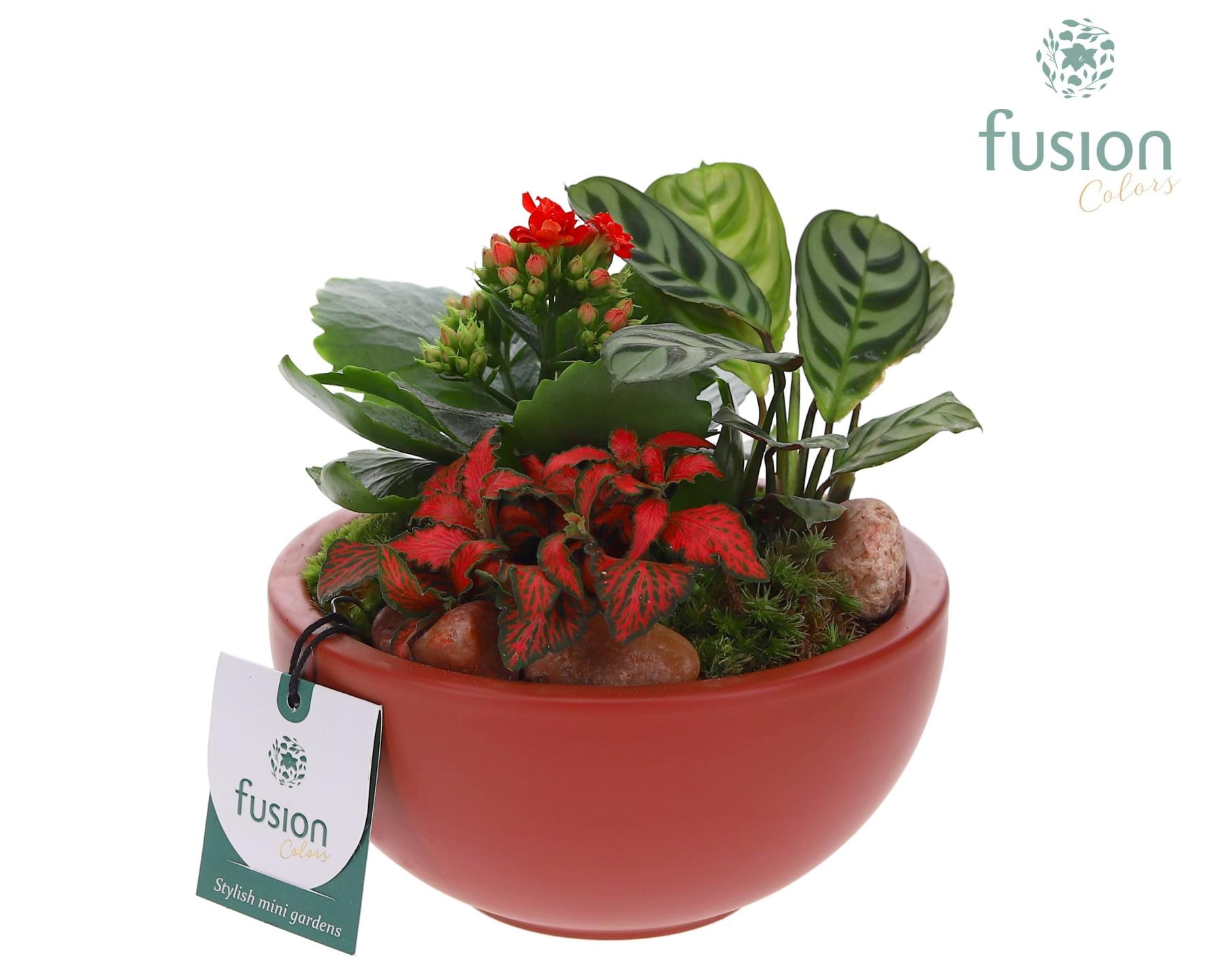 Schaal keramiek Moon Small marsala rood Love met arrangement, D 15