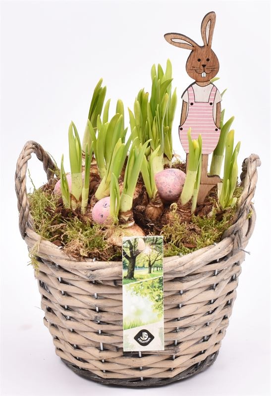 Wilg mand grijs met oor 18cm, D 19