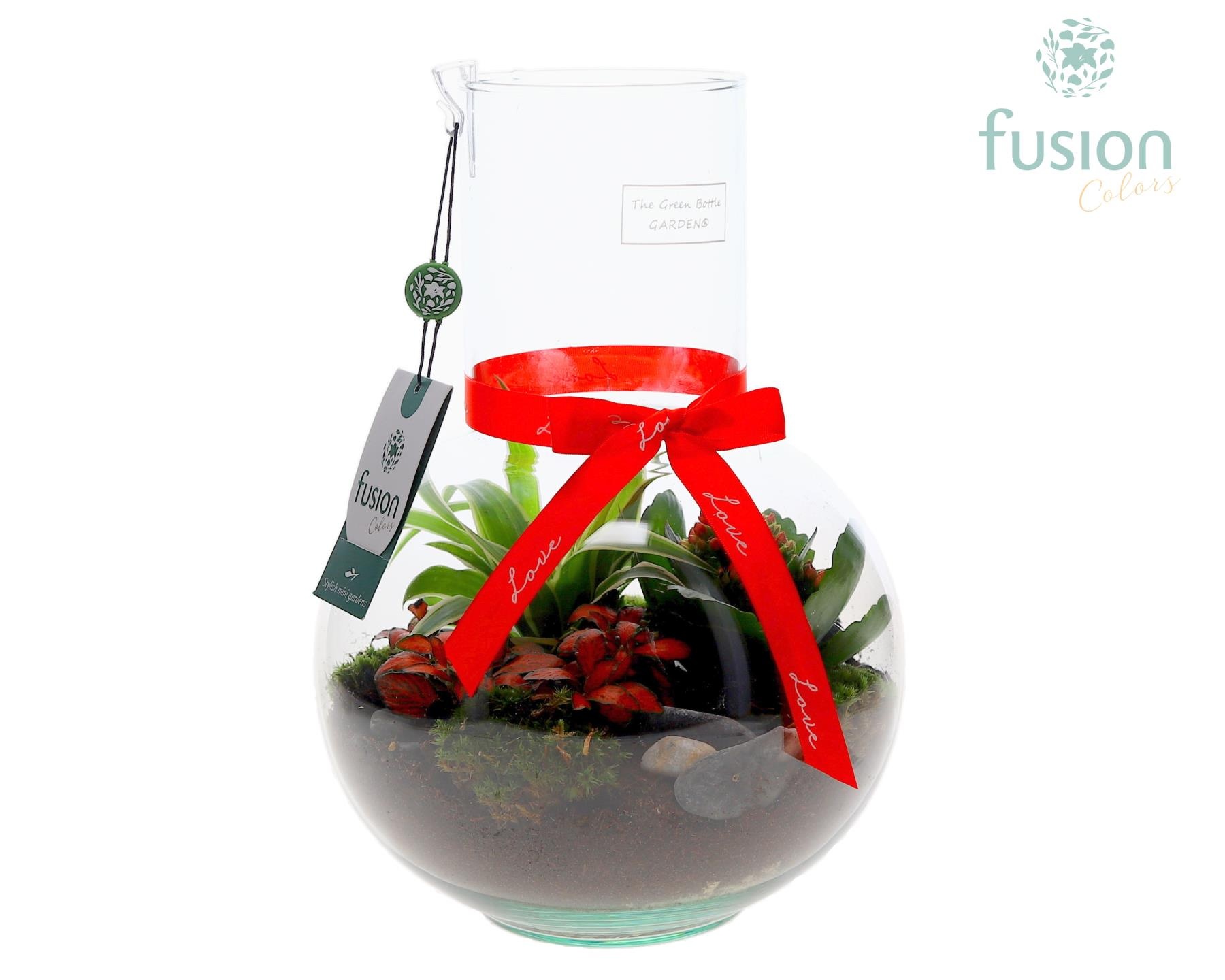 Green Bottle Suzanne Medium met Love arrangement, D 21