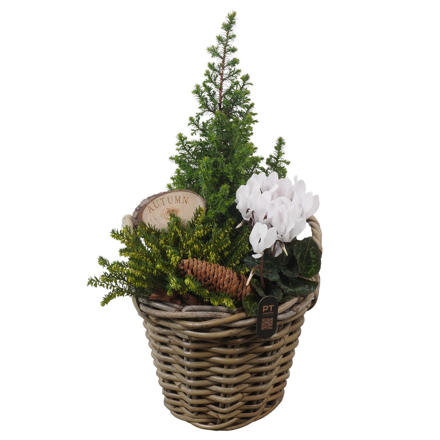 PTWO2843 Arrangement Winter Outdoor in rieten mand, D 23
