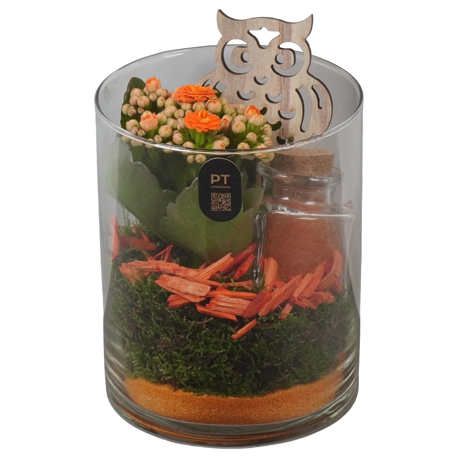 PTHG8285 Arrangement Autumn Glass in glazen vaas, D 12