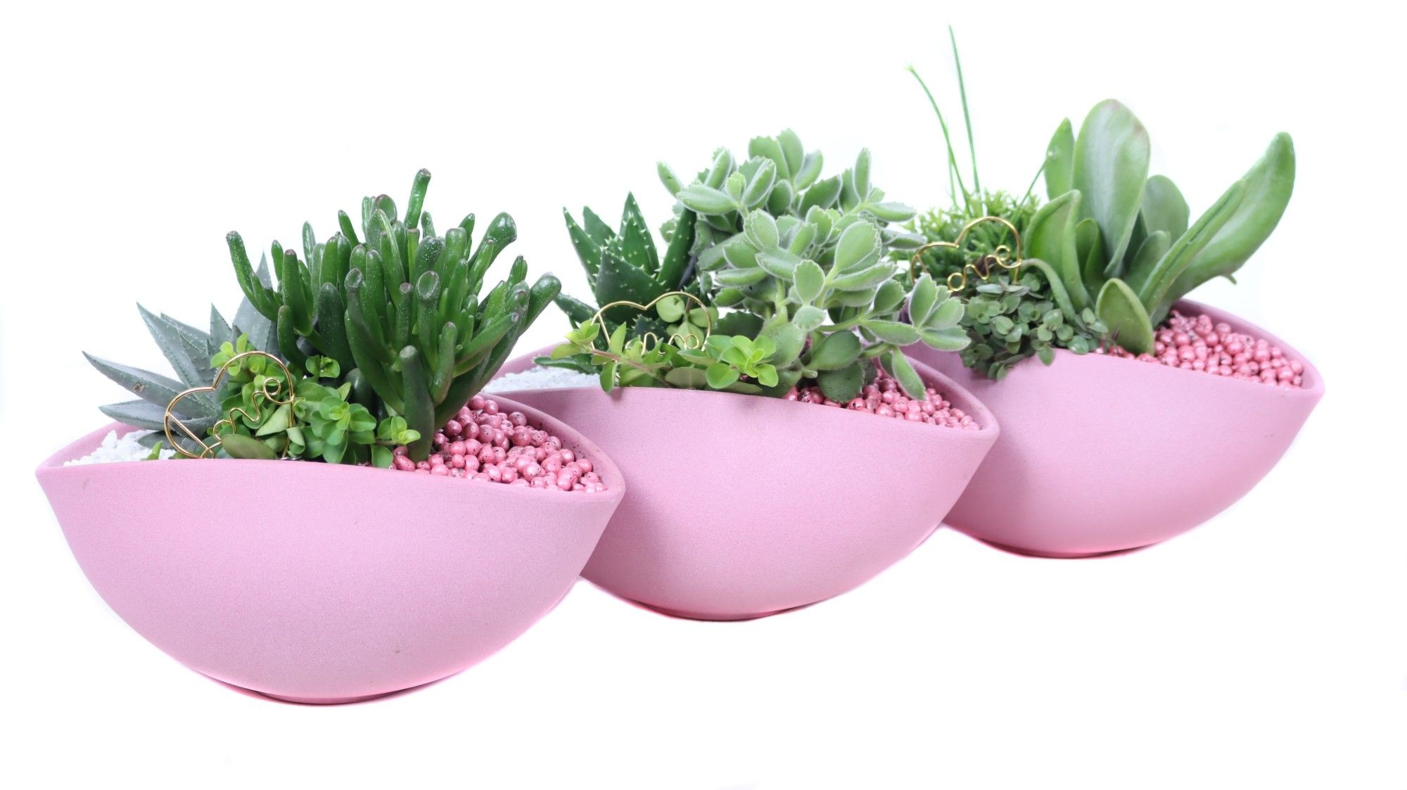 Mix suc 8,5 en 10,5 met groene plant in roze ovaleschaal met gri, D 25