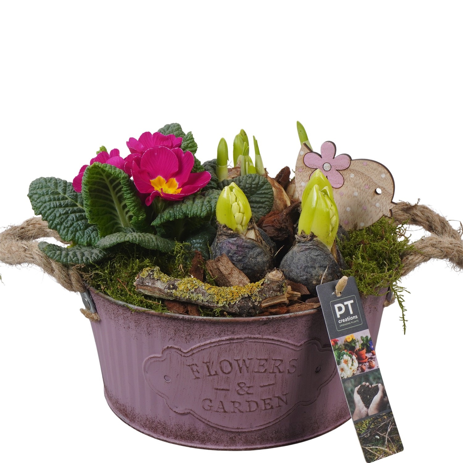 PTBM3767 Arrangement Flower Bulbs Mix in metalen pot, D 22