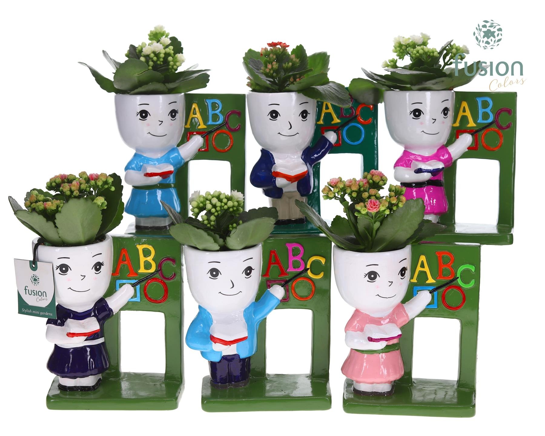 Keramiek back to school met Kalanchoe, D 16